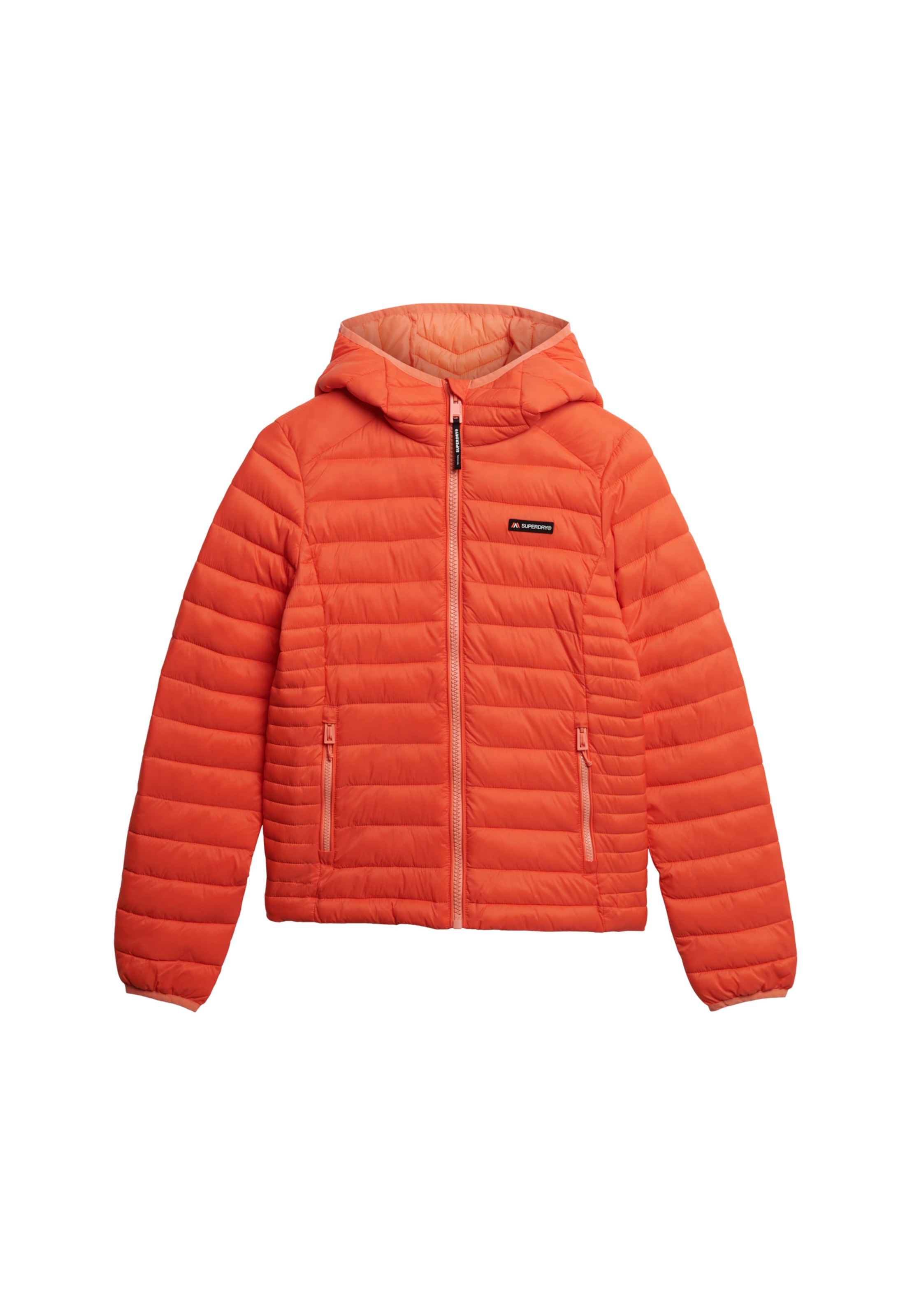 Superdry Steppjacke "HOODED FUJI LITE PADDED JACKET", mit Kapuze günstig online kaufen