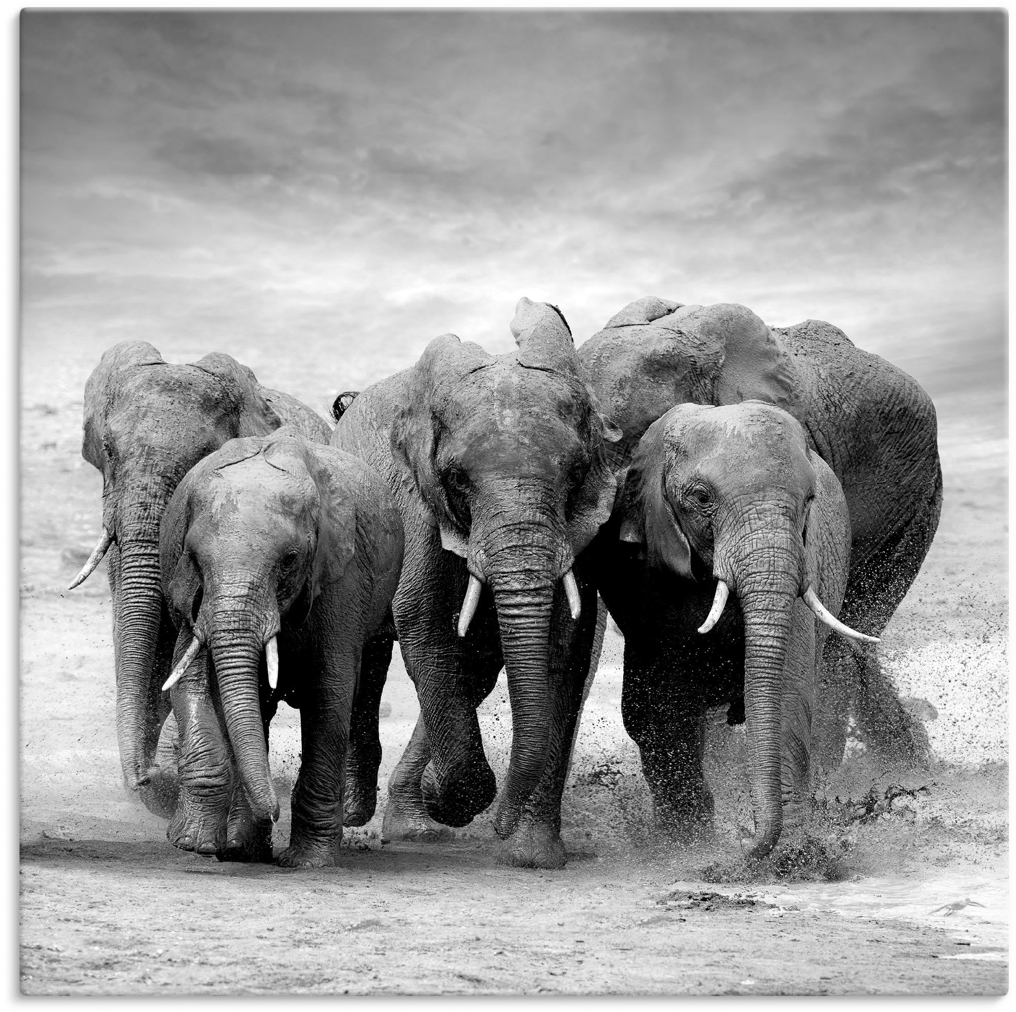 Artland Wandbild "Elefanten" Wildtiere 1 Stk. tlg. als Leinwandbild, Poster in verschied. Größen
