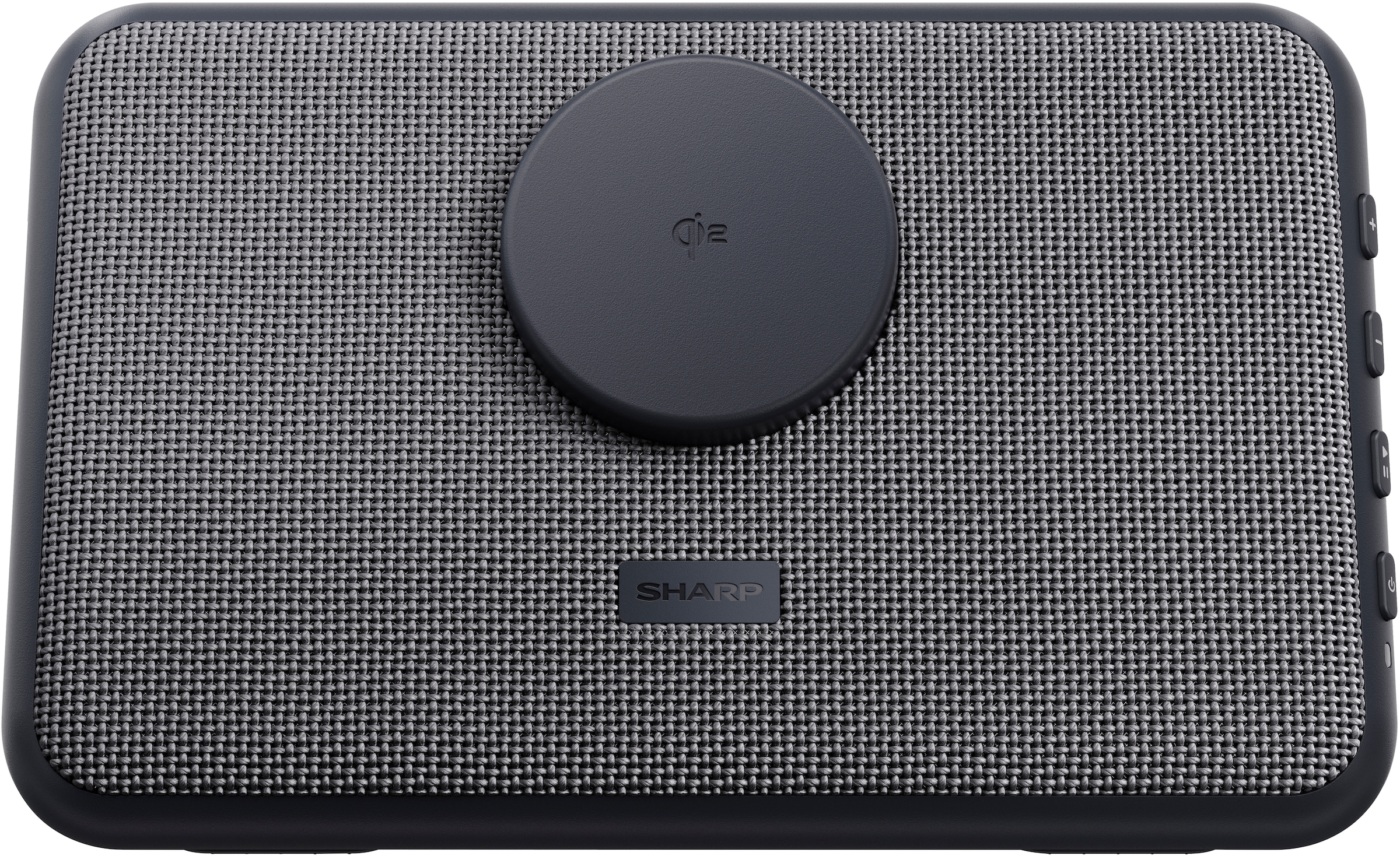 Sharp Bluetooth-Lautsprecher »CP-DS09« Stereo (A2DP Bluetooth | AVRCP Bluetooth | Bluetooth Apple Siri | Google Assistant | Ladefunktion für Mobilgeräte | Lautstärkeregelung )