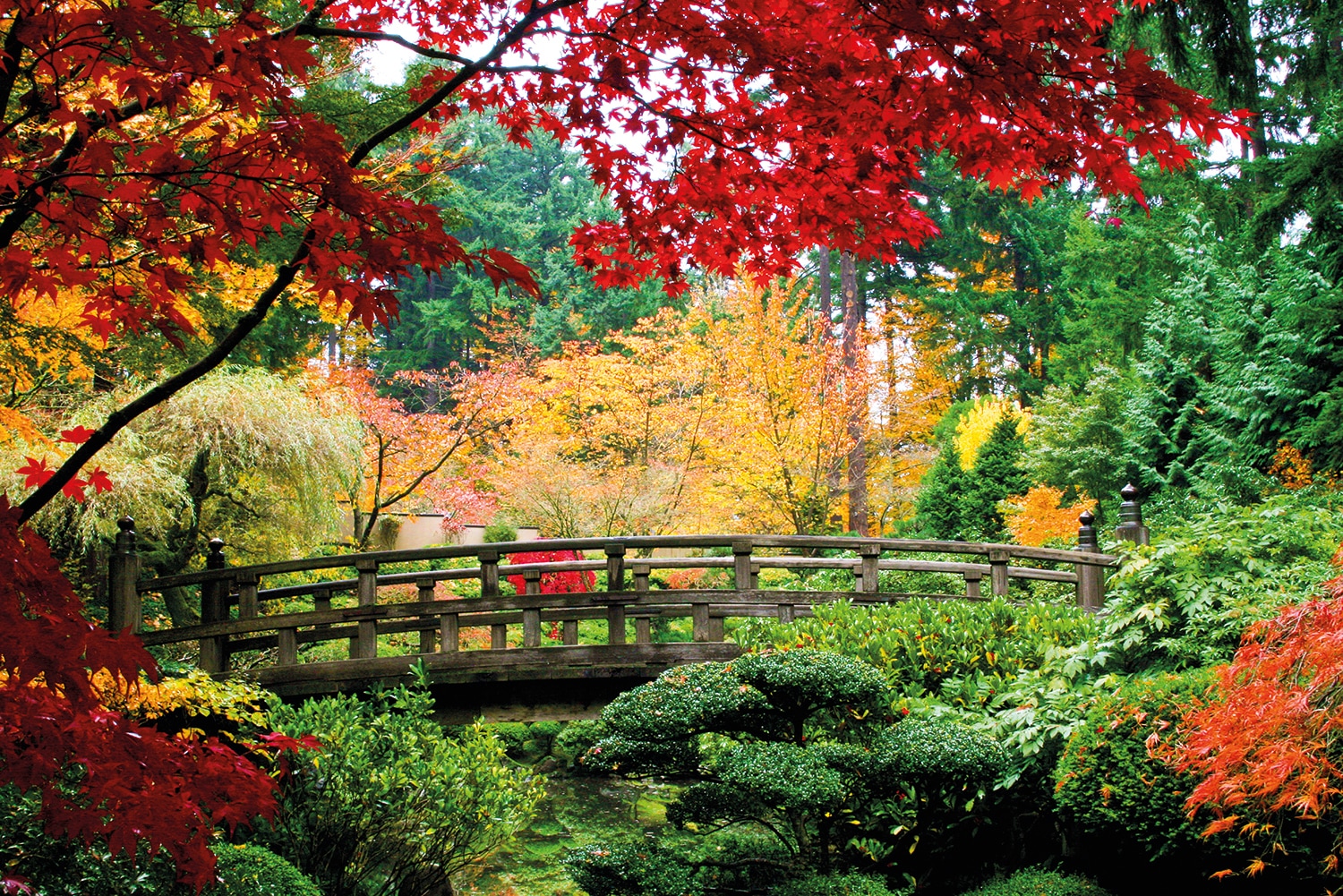 Papermoon Fototapete "Bridge in Japanese Garden" glatt