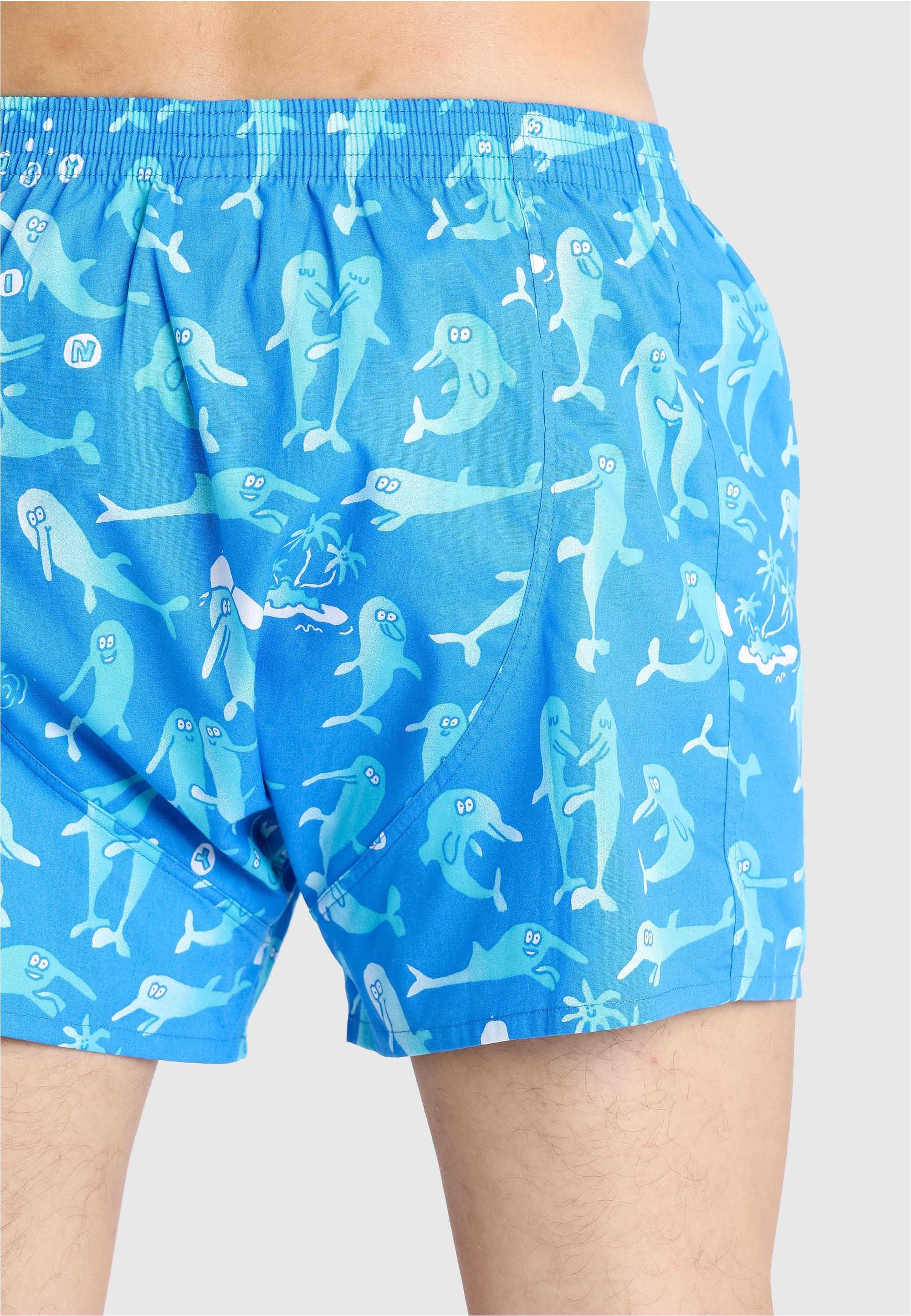 Lousy Livin Boxershorts »Sky Gym & Dolphin 2 Pack«, mit buntem Allover-Print