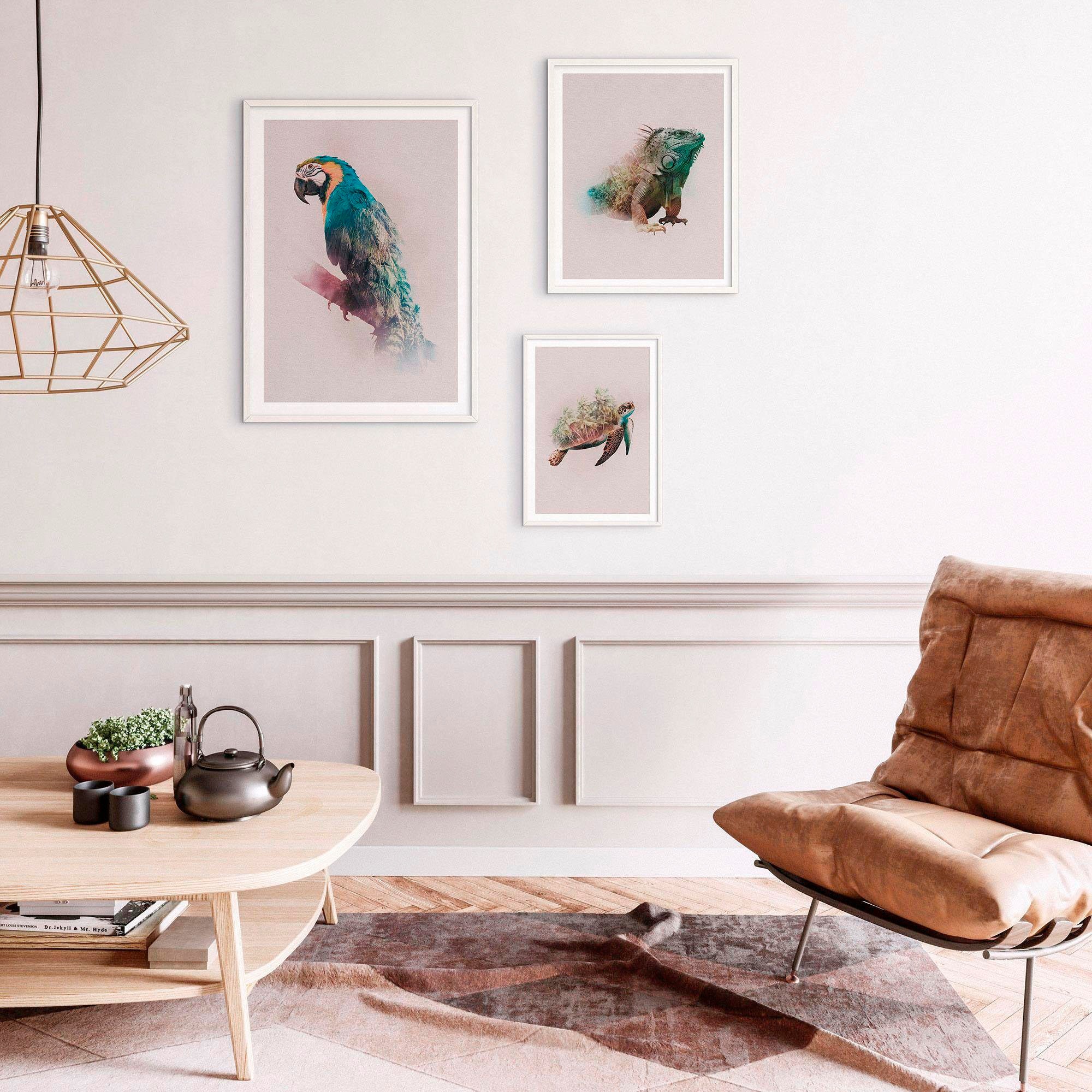 Komar Bild "Animals Paradise Turtle", Tiere, (1 St.), Wandbild zur Dekorati günstig online kaufen