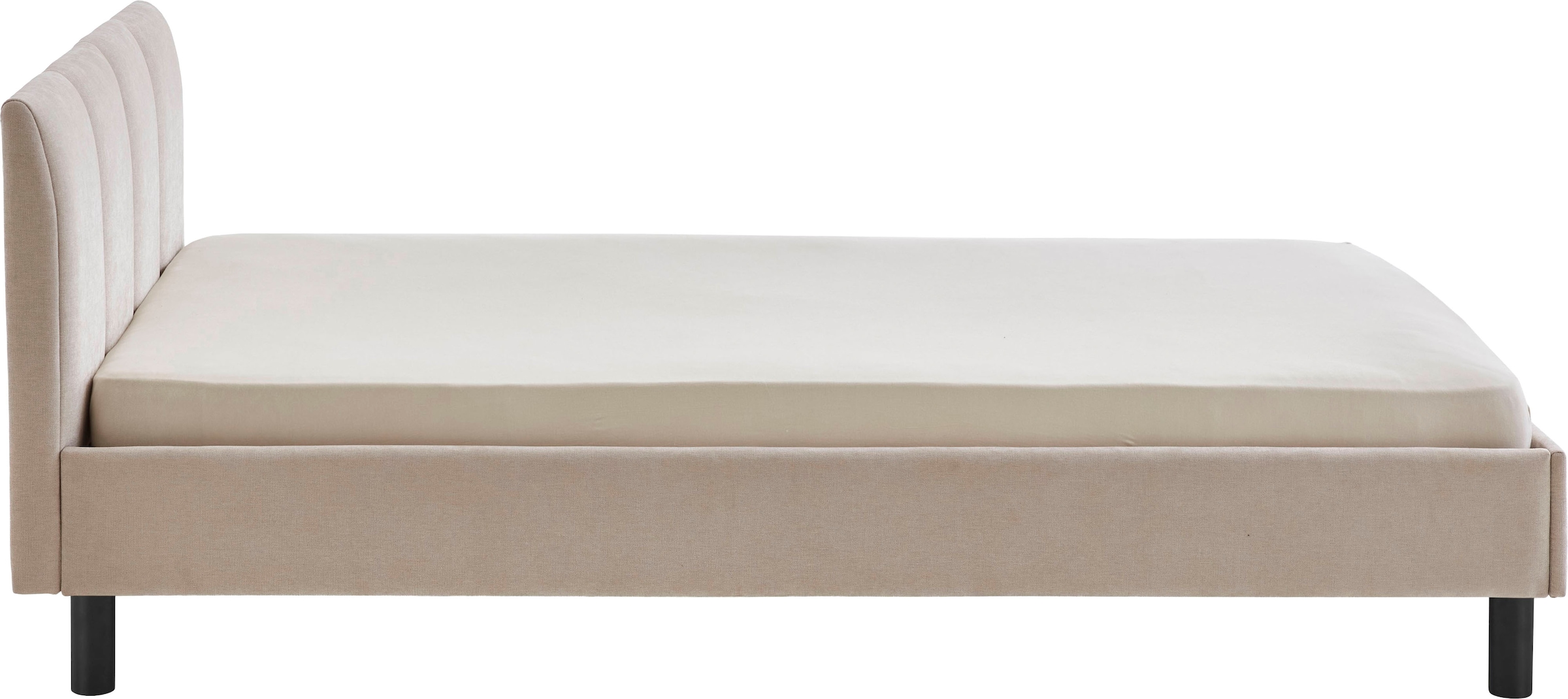 meise.möbel Polsterbett »Joker, in verschiedenen Breiten und Farben erhältlich« wahlweise mit schwarzem oder eichefarbigem Holzfuß