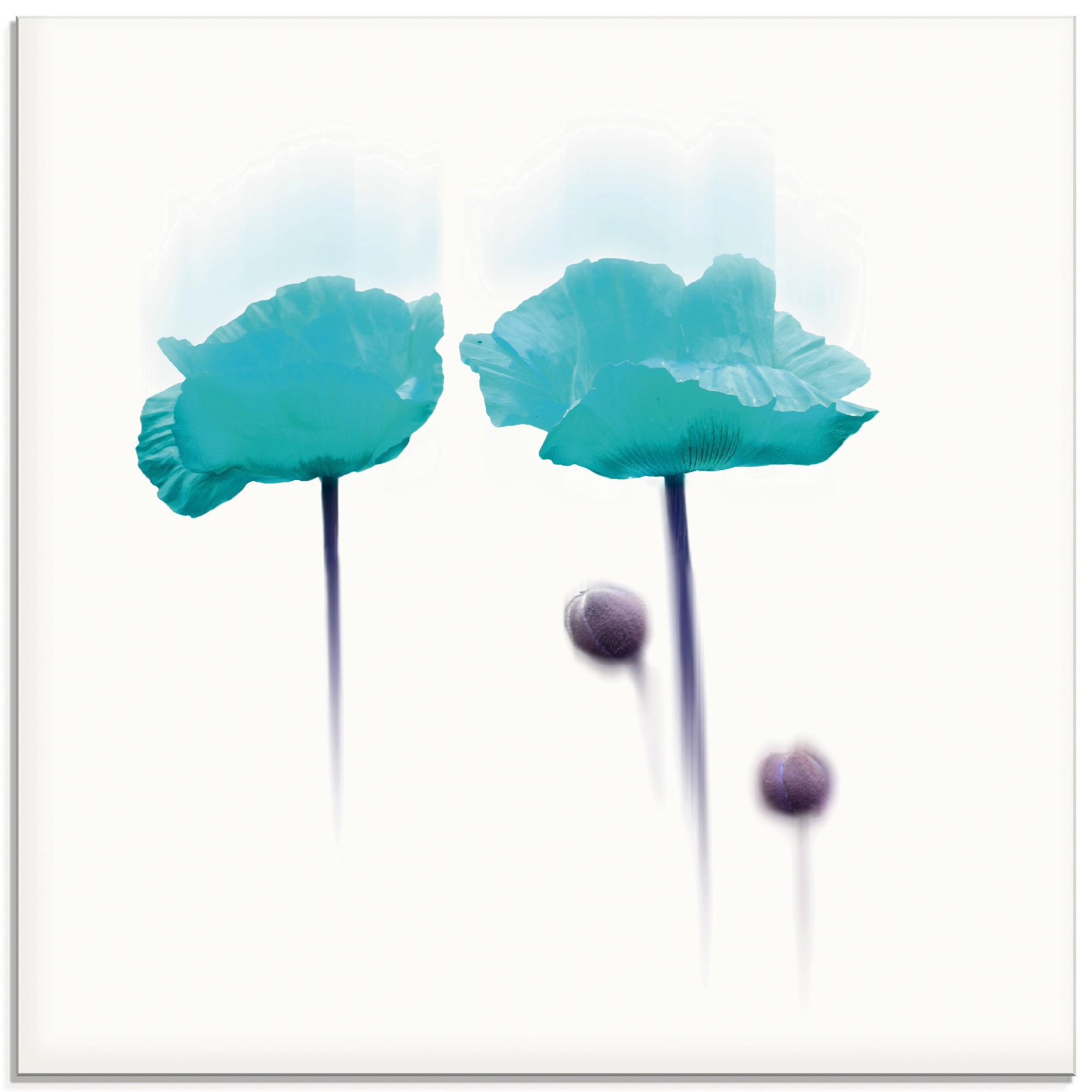 Artland Glasbild "Blüte abstrakt II" Blumen 1 Stk. tlg. in verschiedenen Größen
