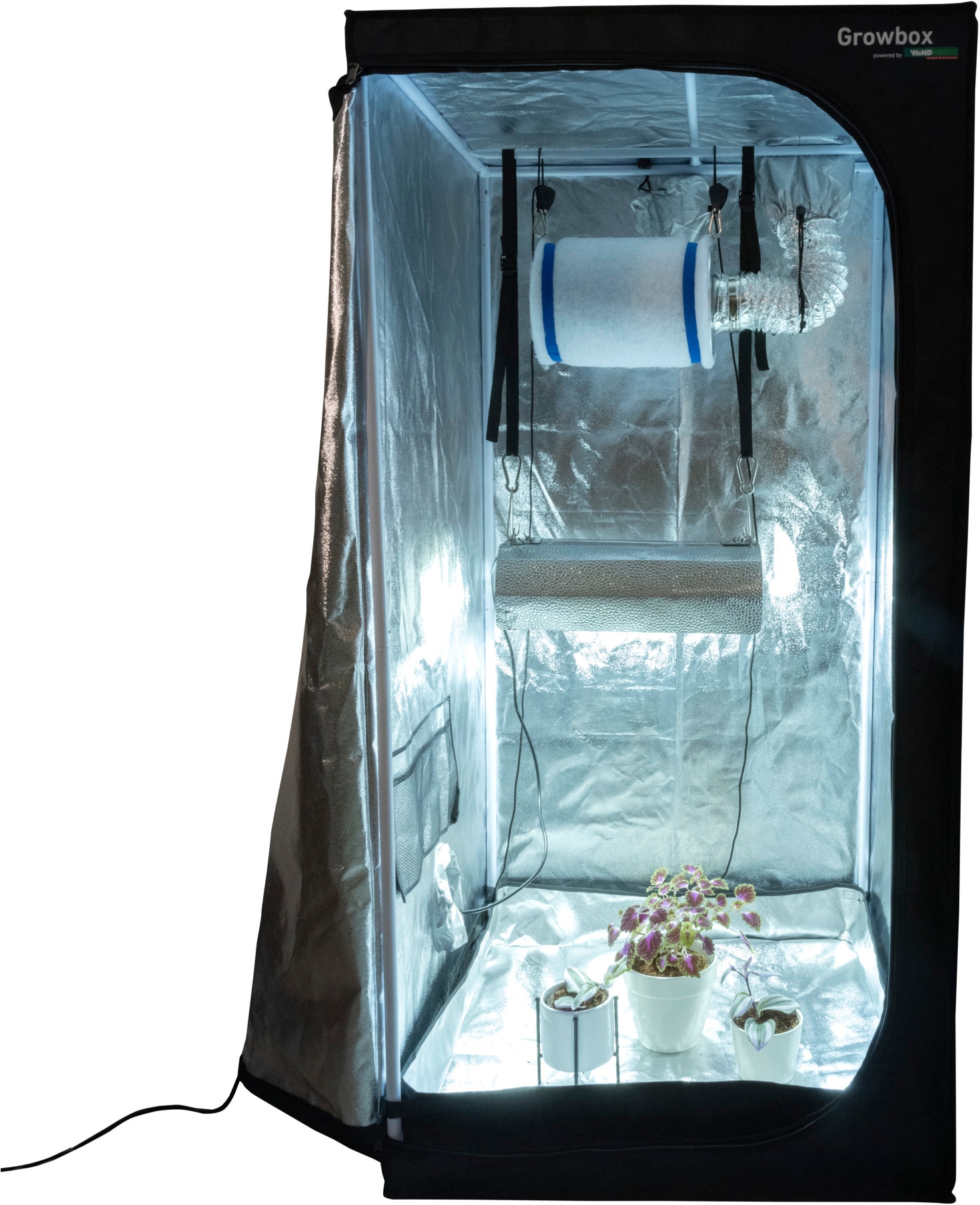 Windhager Gewächshaus "Indoor, Growbox komplettes Starterset" Zuchtzelt für Pflanzen, Anbaufläche 0,64 m², 80 x 80 x 160 cm, schwarz