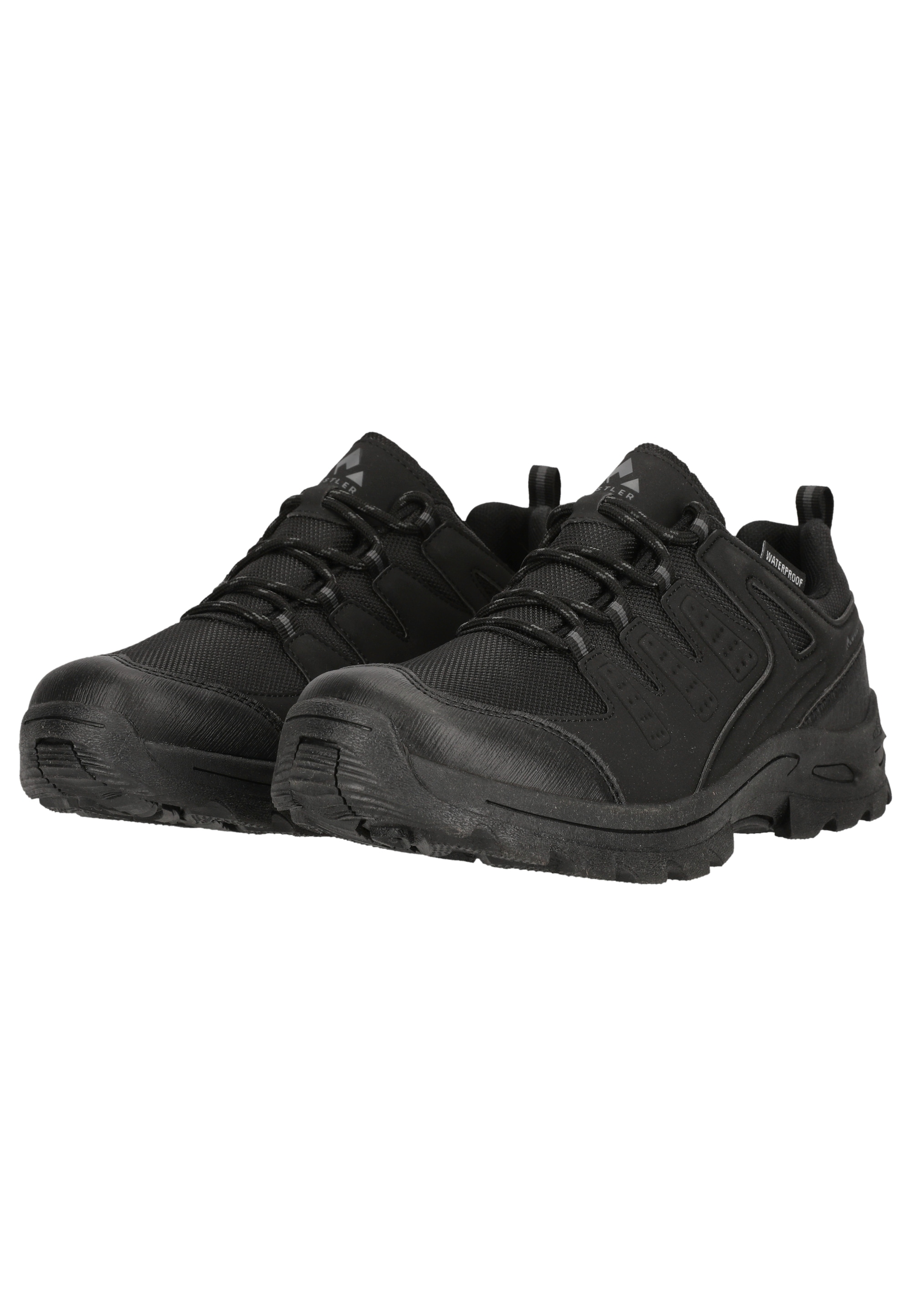 WHISTLER Outdoorschuh »Pinacle«  mit Dry Base Waterproof Membran