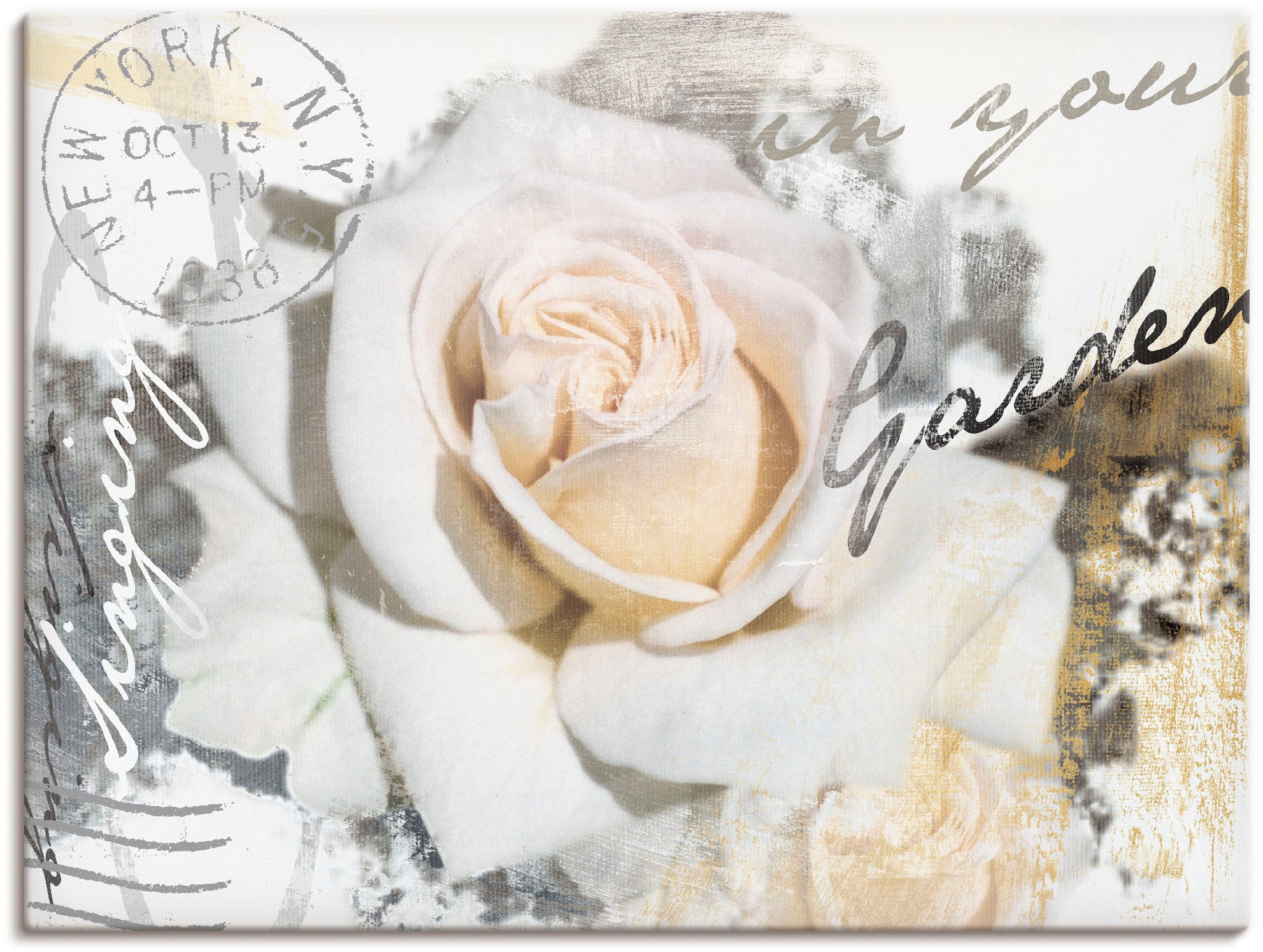 Wandbild BAUR Artland versch. als Wandaufkleber bestellen Rose«, in Alubild, oder Buchstaben - | Blumen, Größen Leinwandbild, St.), Poster »In (1