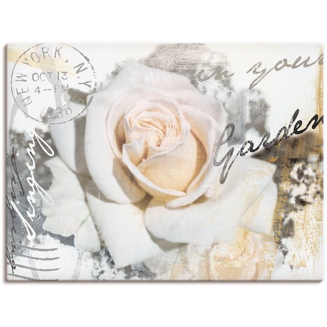 Artland Wandbild »In Buchstaben - Rose«, Blumen, (1 St.), als Alubild,  Leinwandbild, Wandaufkleber oder Poster in versch. Größen bestellen | BAUR