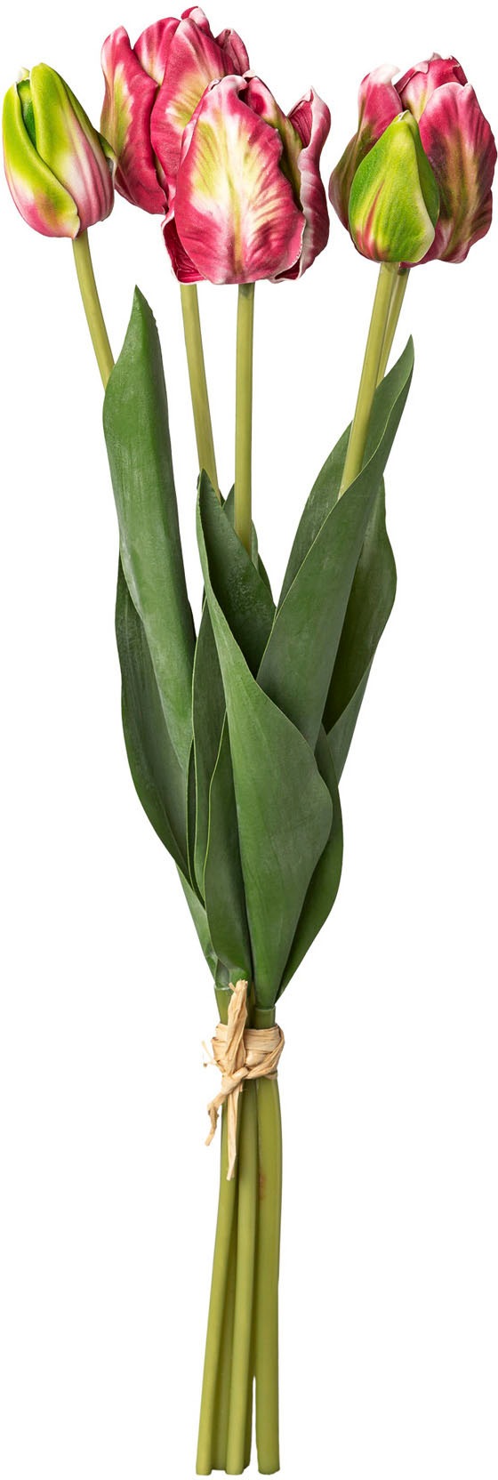 my home Kunsttulpe »Tulpenbund«