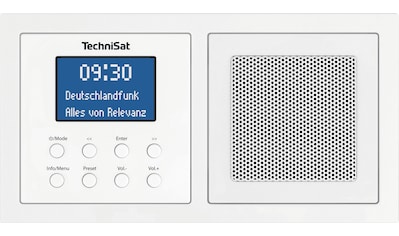 TechniSat Digitalradio (DAB+) »DIGITRADIO UP 1«, (A2DP Bluetooth-AVRCP Bluetooth... kaufen