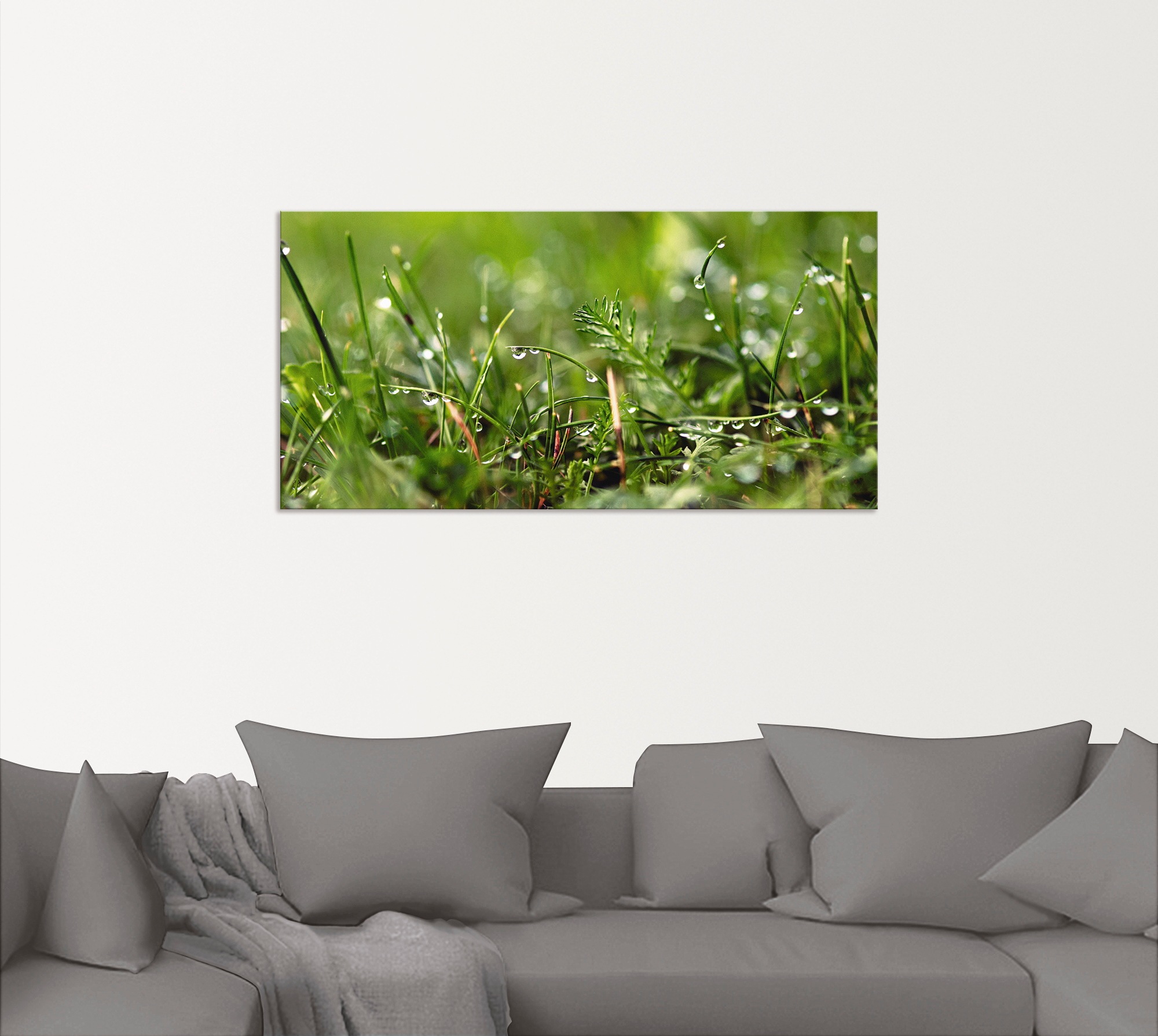 Artland Wandbild »Tautropfen«, Gräser, (1 St.), als Alubild, Outdoorbild, Leinwandbild, Poster in verschied. Größen