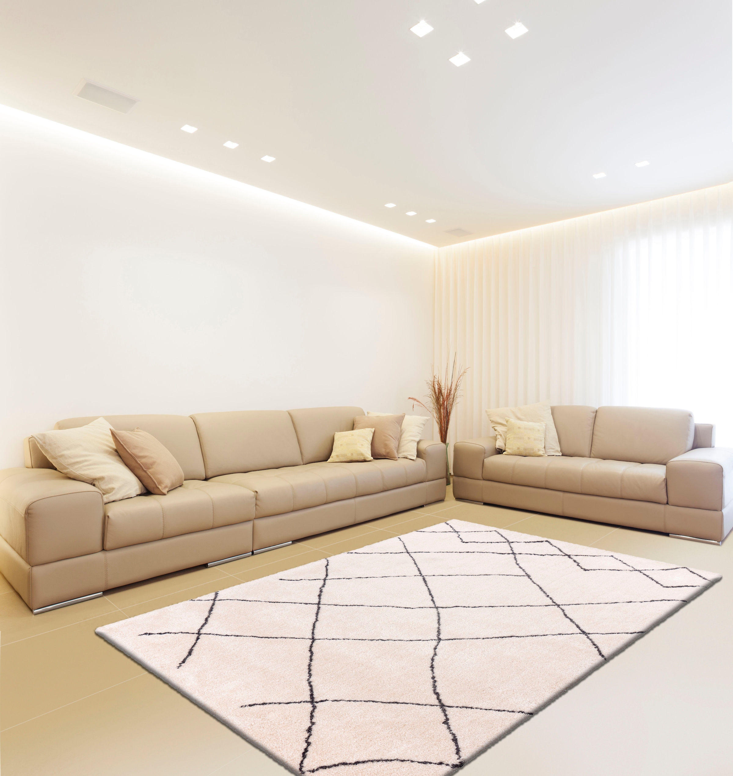calo-deluxe Hochflor-Teppich »Elvar-5000«, rechteckig, 27 mm Höhe, besonders weich durch Microfaser, Wohnzimmer