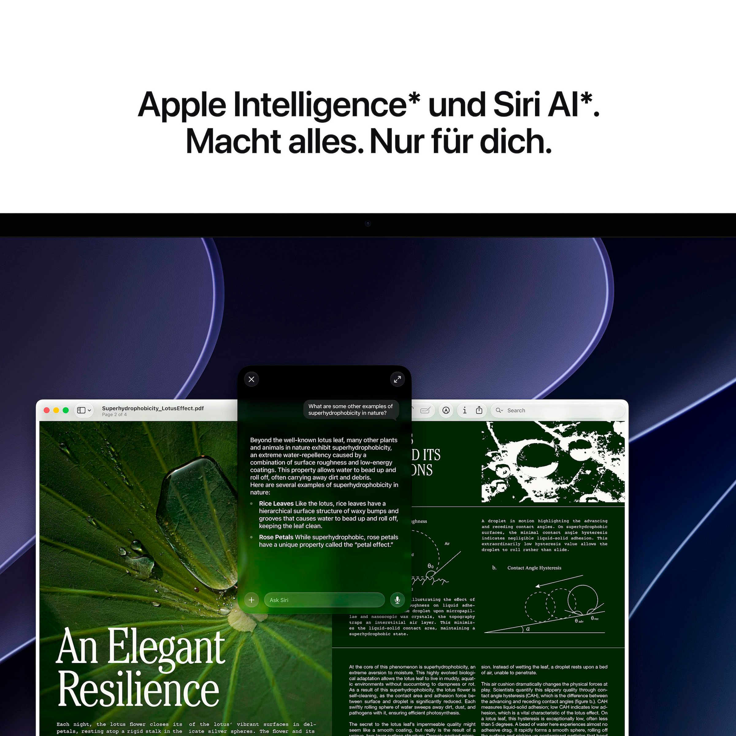 Apple Mac Studio »Mac Studio CTO«