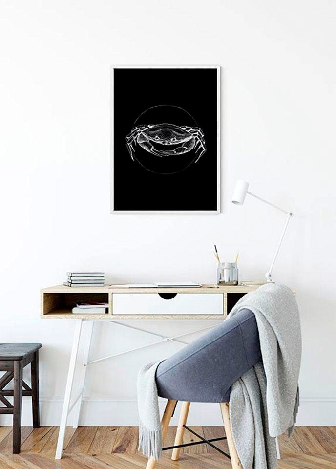 Komar Bild »Crab Black« Tiere 1 Stk. tlg. Wandbild zur Dekoration - ohne Rahmen