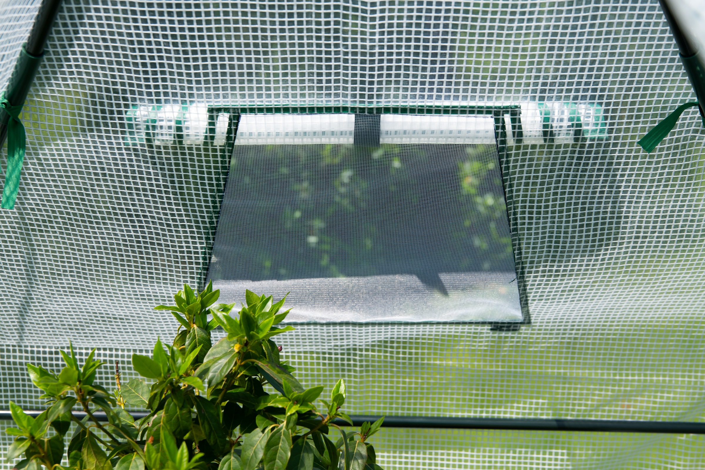 WESTMANN Foliengewächshaus »Chili« Überwinterungszelt