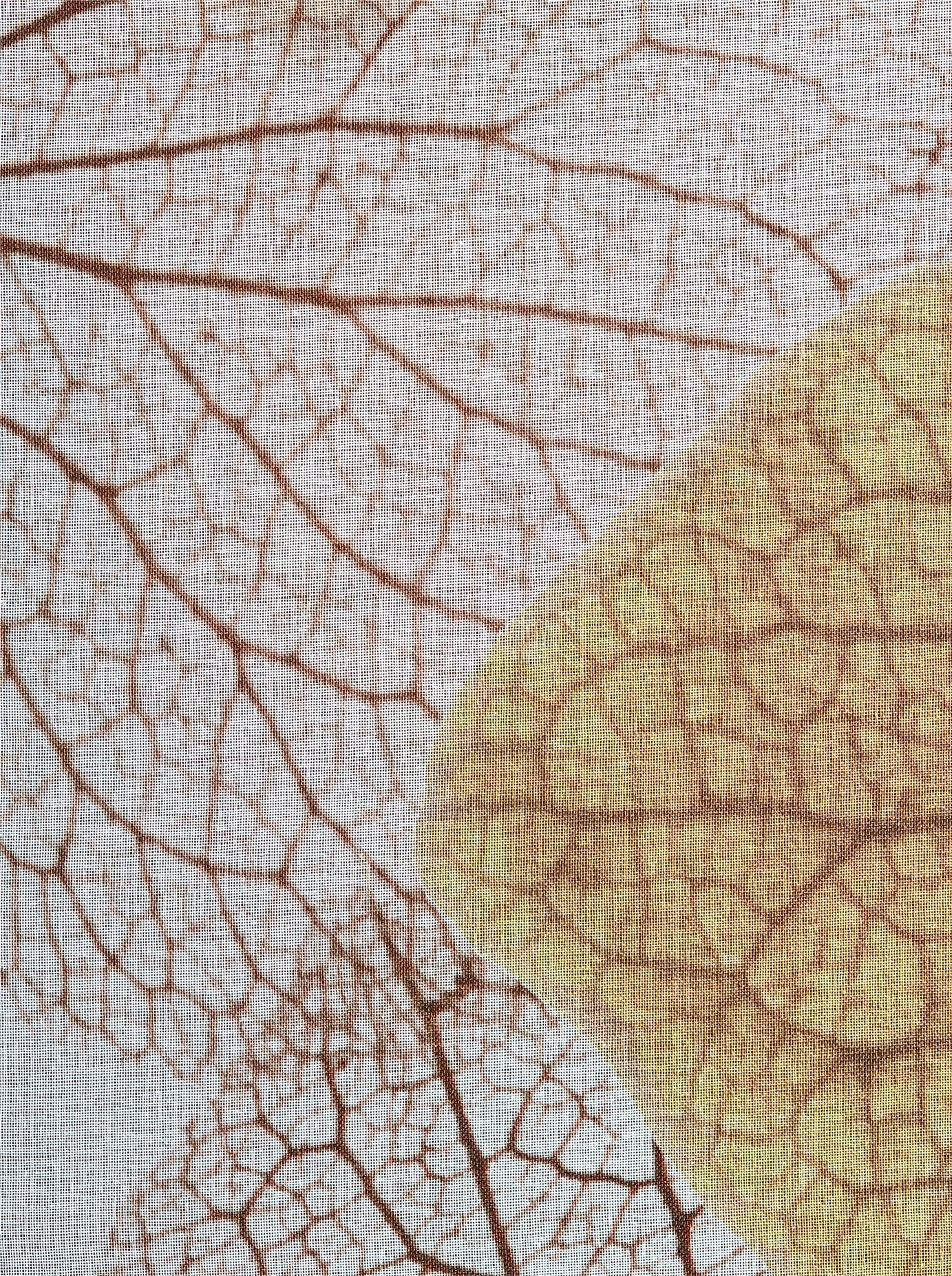 heine home Gardine Ösen 1 Stk. tlg. günstig online kaufen