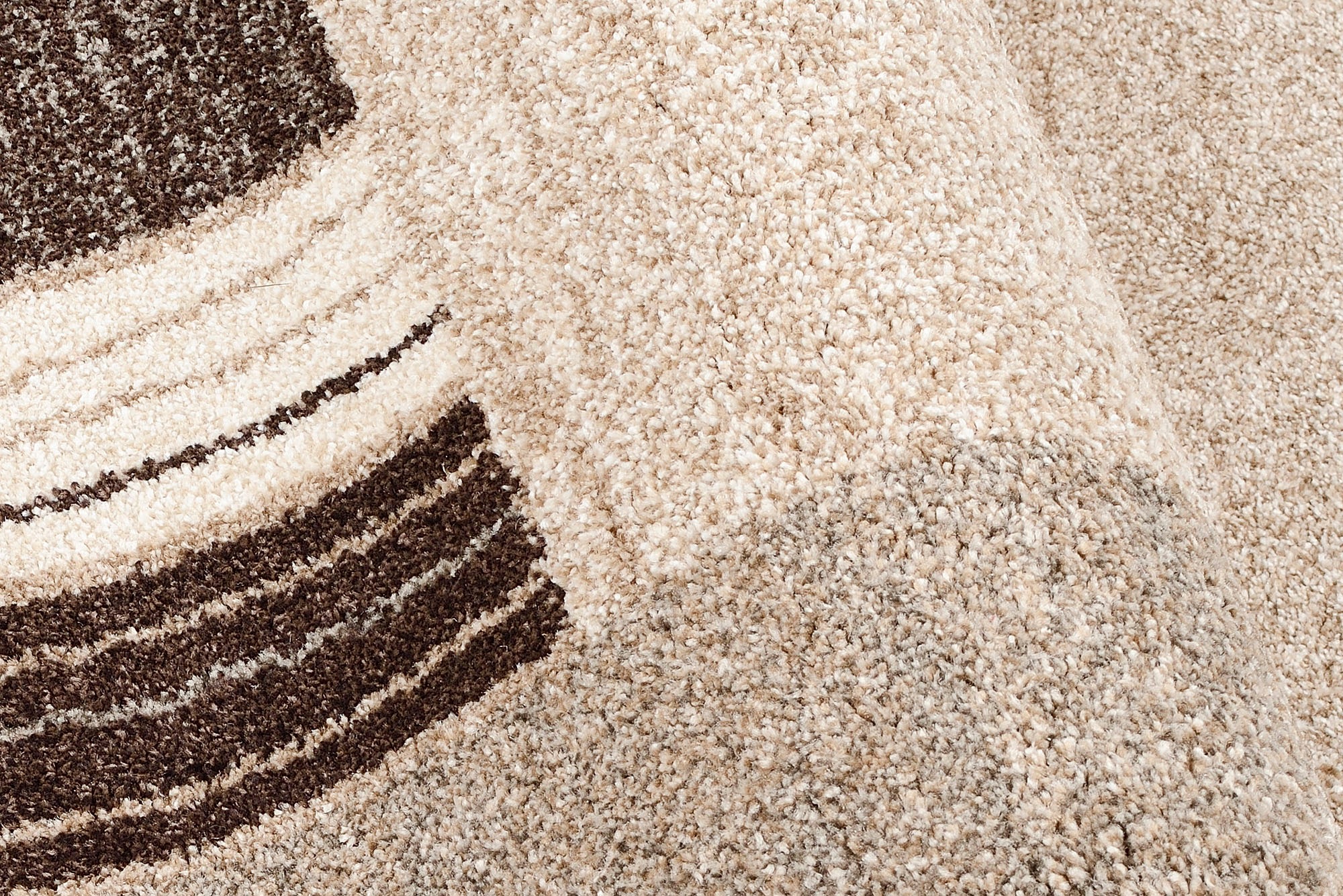 Teppich OCI DIE TEPPICHMARKE "CASTLE FLORA, auch in rechteckig", braun (braun, beige), H:20mm Ø:200cm, Polypropylen (PP), Teppiche, Teppich, dichter Frisé Kurzflor, farbiger Bordüre, Wohnzimmer, Schlafzimmer 3