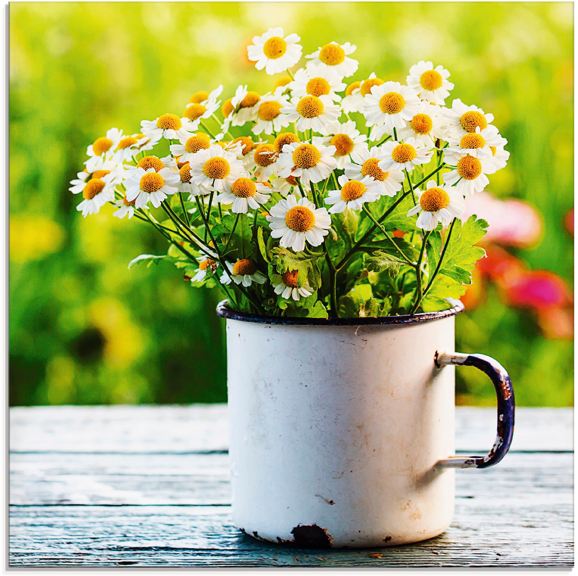 Artland Glasbild »Frühlingsgarten mit verschiedenen BAUR Gänseblümchen«, in | St.), Größen kaufen Blumen, (1