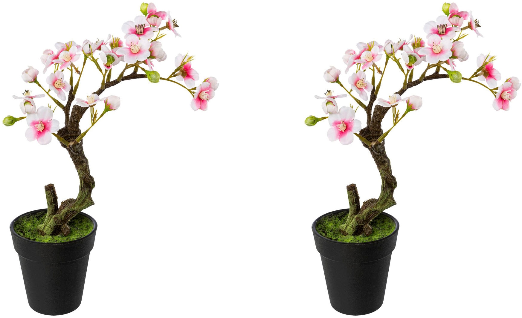 Creativ green Kunstblume "Mandelbonsai im Topf" günstig online kaufen