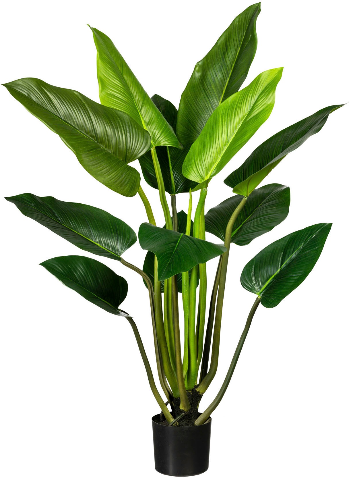 Creativ green Künstliche Zimmerpflanze »Philodendron«