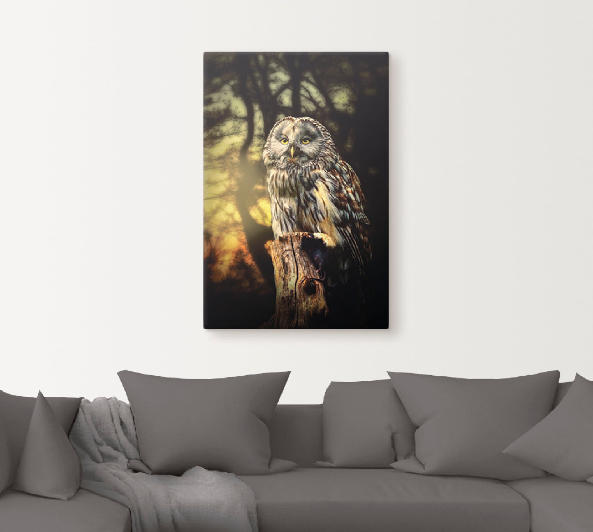 Artland Wandbild »Eule«, Vögel, (1 St.), als Alubild, Outdoorbild, Leinwandbild, Poster in verschied. Größen