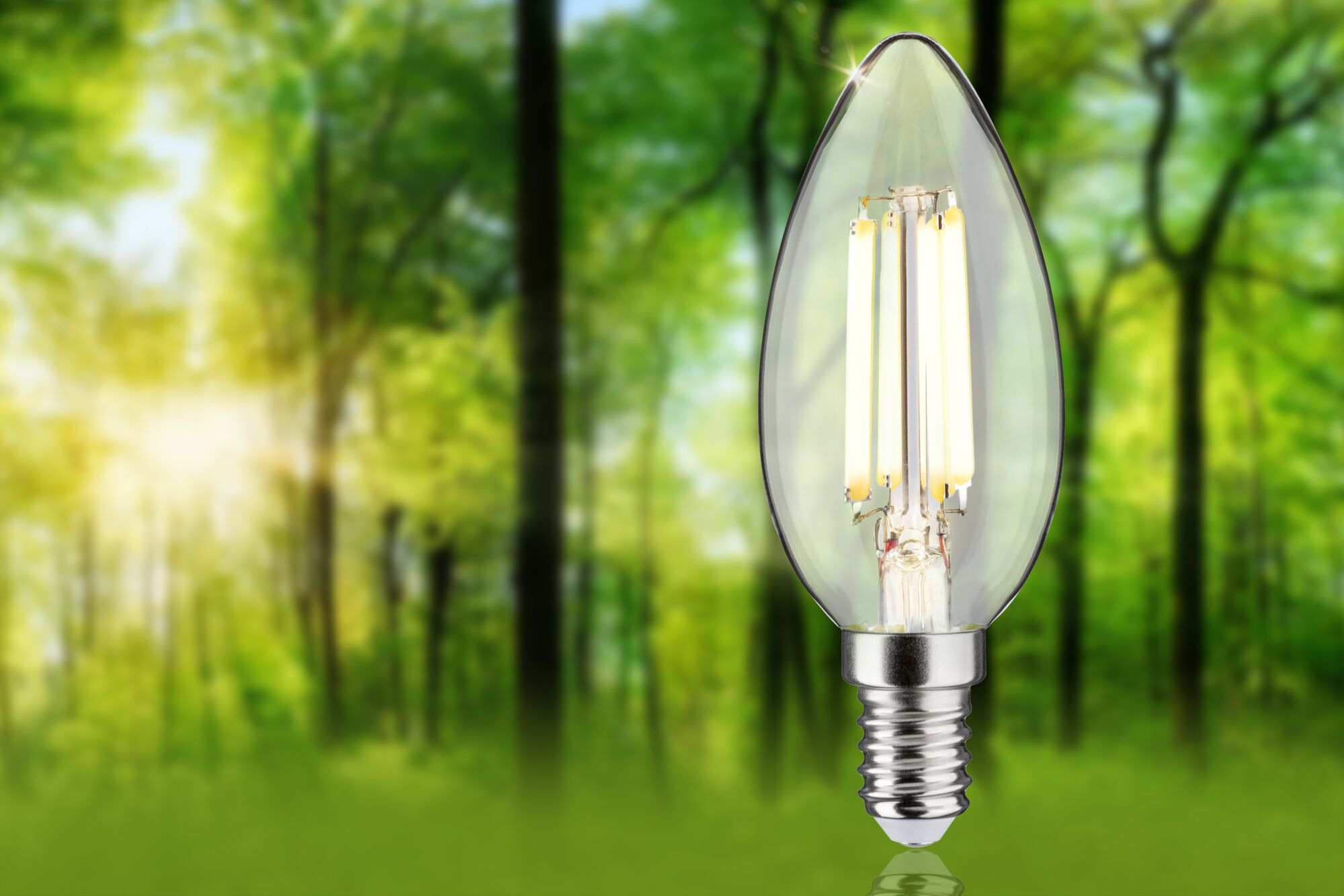 Paulmann LED-Leuchtmittel »Eco-Line Filament 230V LED Kerze E14 1er-Set 525lm 2,5W 3000K Klar«, E14, 1 St., Warmweiß
