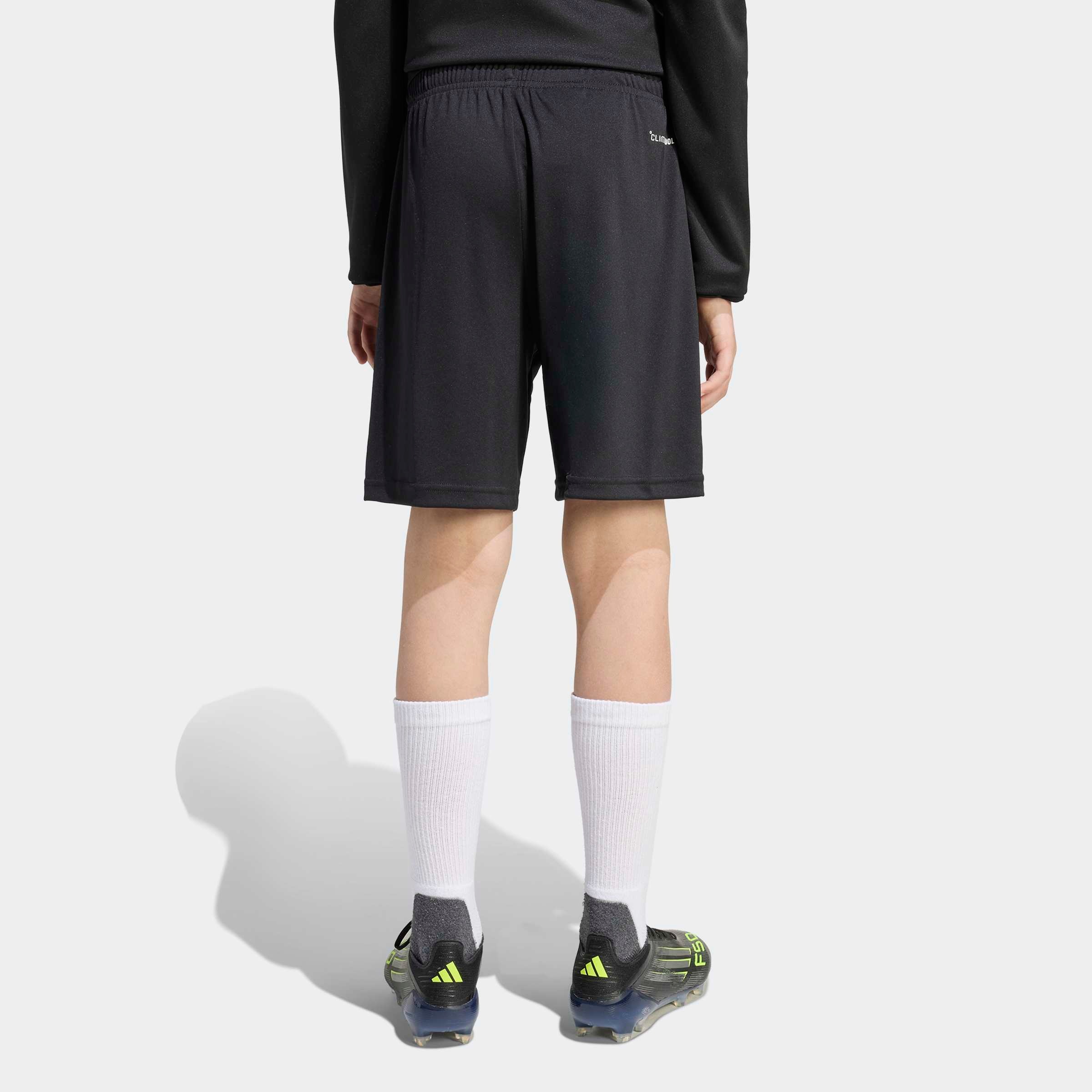 adidas Performance Trainingsshorts »ENT26 TR SHOY«