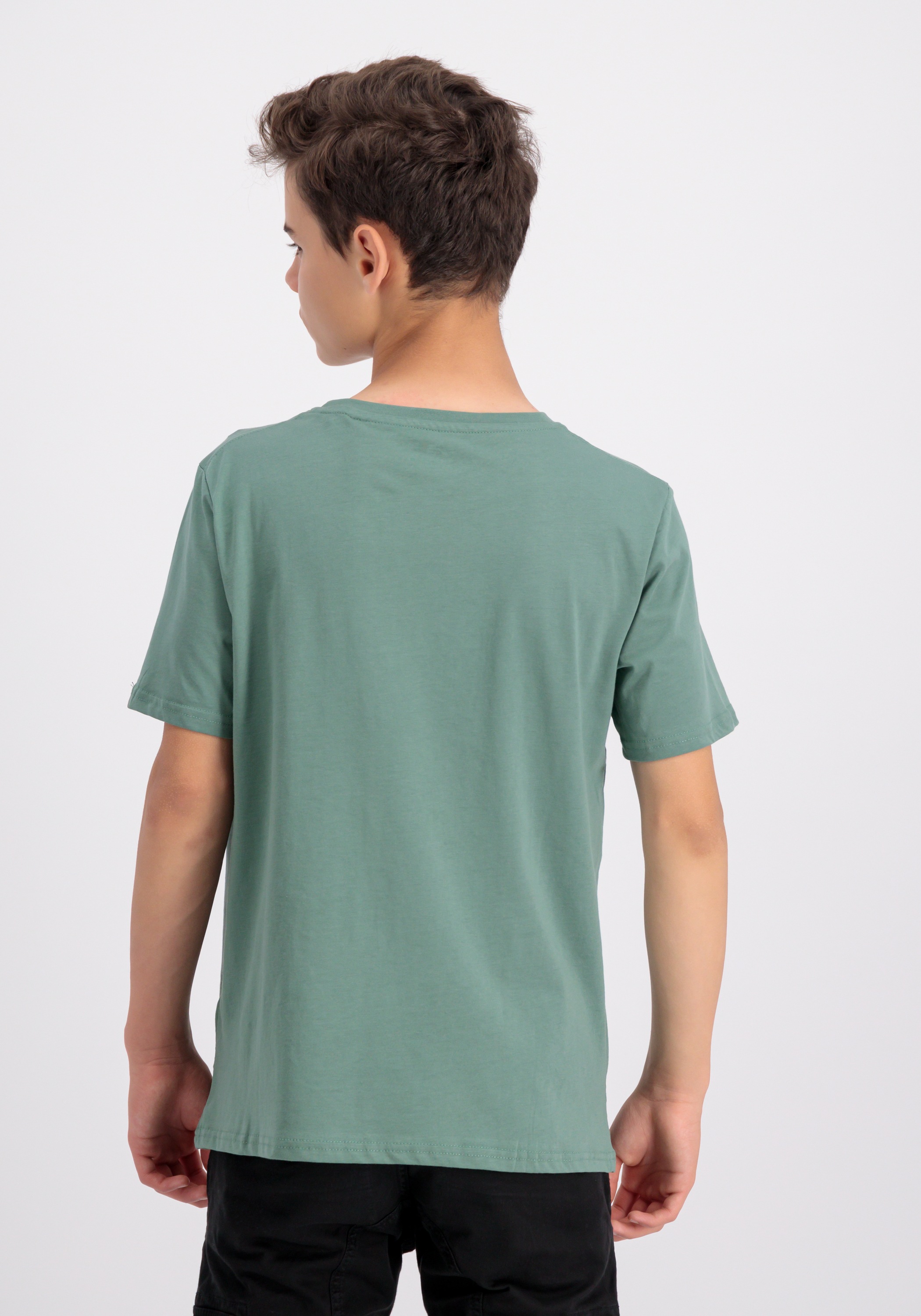 Alpha Industries T-Shirt »Basic T-Shirt BL K«