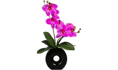 Kunstorchidee »Phalaenopsis«