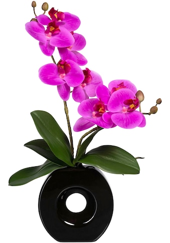 Creativ green Kunstorchidee »Phalaenopsis« in Kerami...