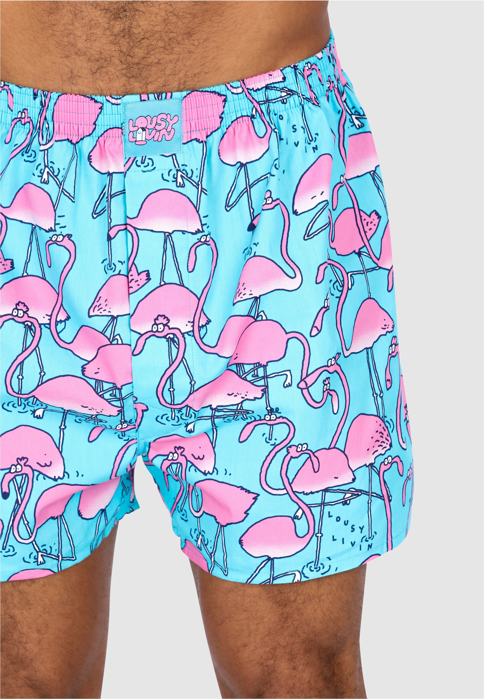Lousy Livin Boxershorts »Dino & Greater Flamingo« 2 Stk. mit lässigen Allover-Prints