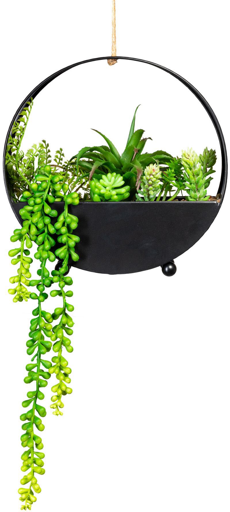 Künstliche kaufen variegata« BAUR | Creativ americana »Agave Zimmerpflanze green