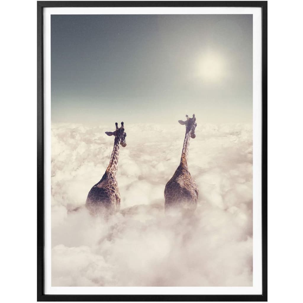 Wall-Art Poster »Safari Giraffen in den Wolken«, Tiere, (1 St.)