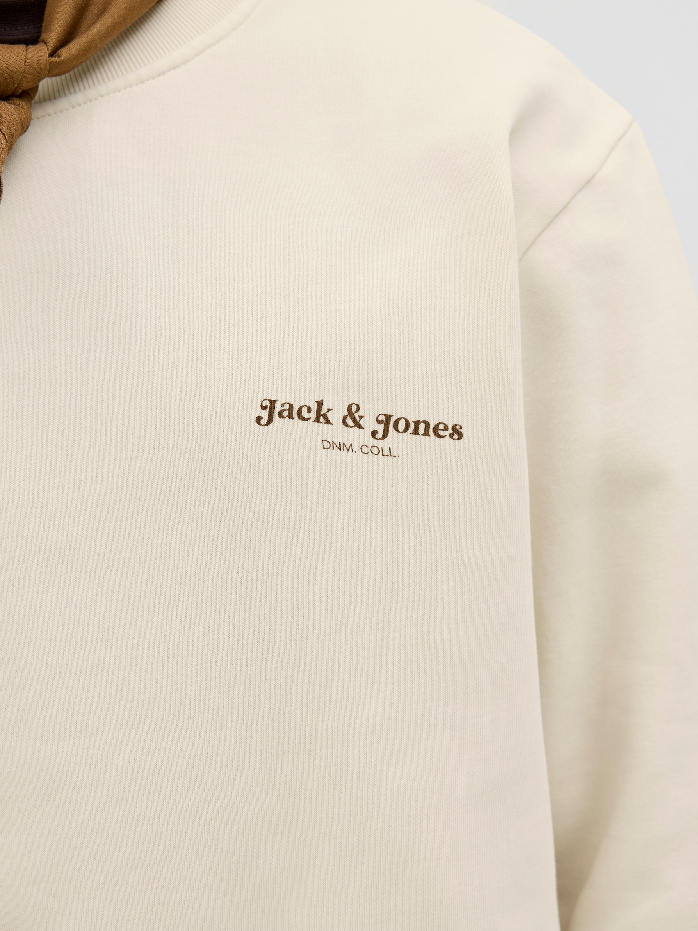 Jack & Jones Sweatshirt »JJEDOVER PRINT SWEAT CREW NECK«