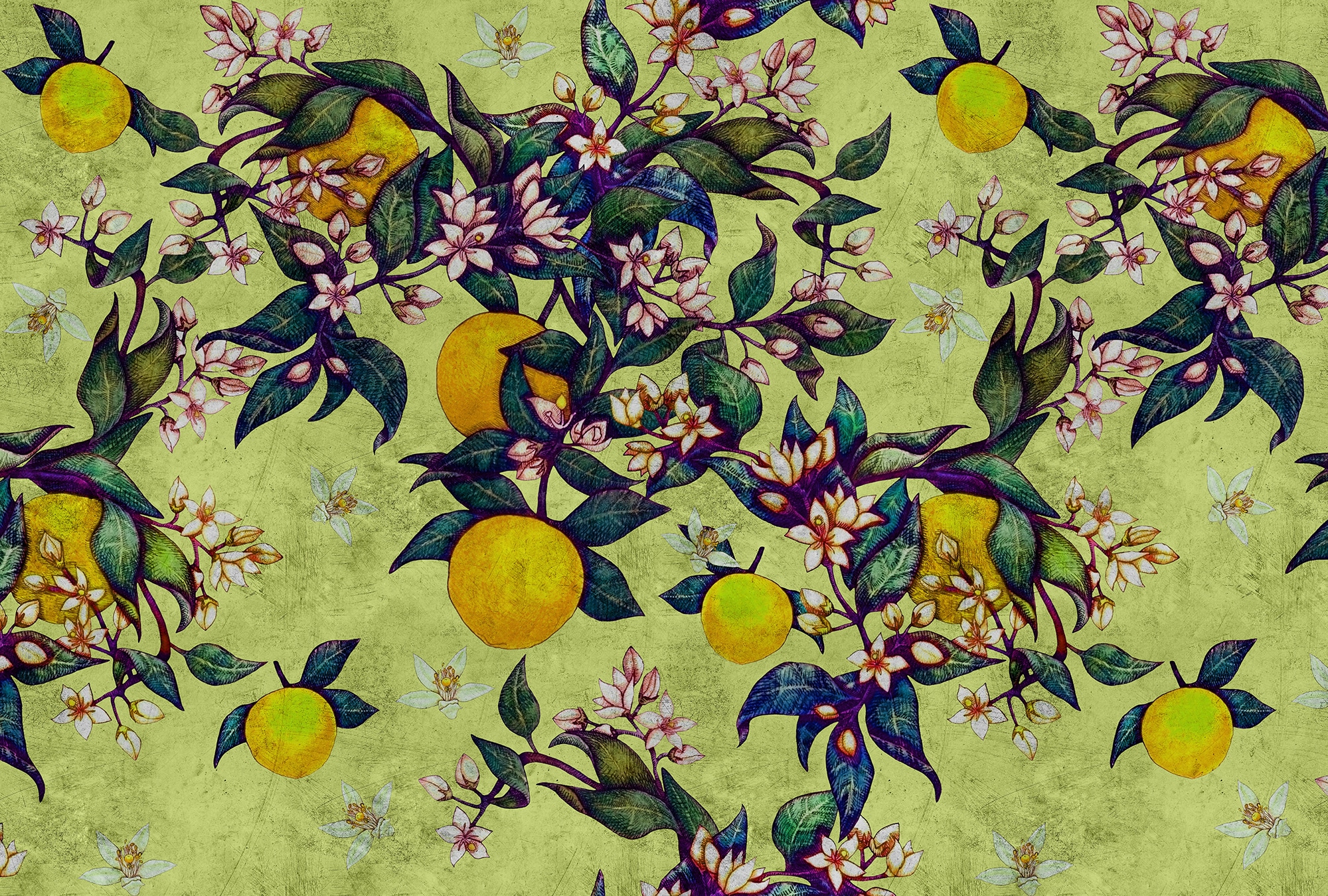living walls Fototapete "Walls by Patel Grapefruit Tree 1" glatt Vlies, Wan günstig online kaufen