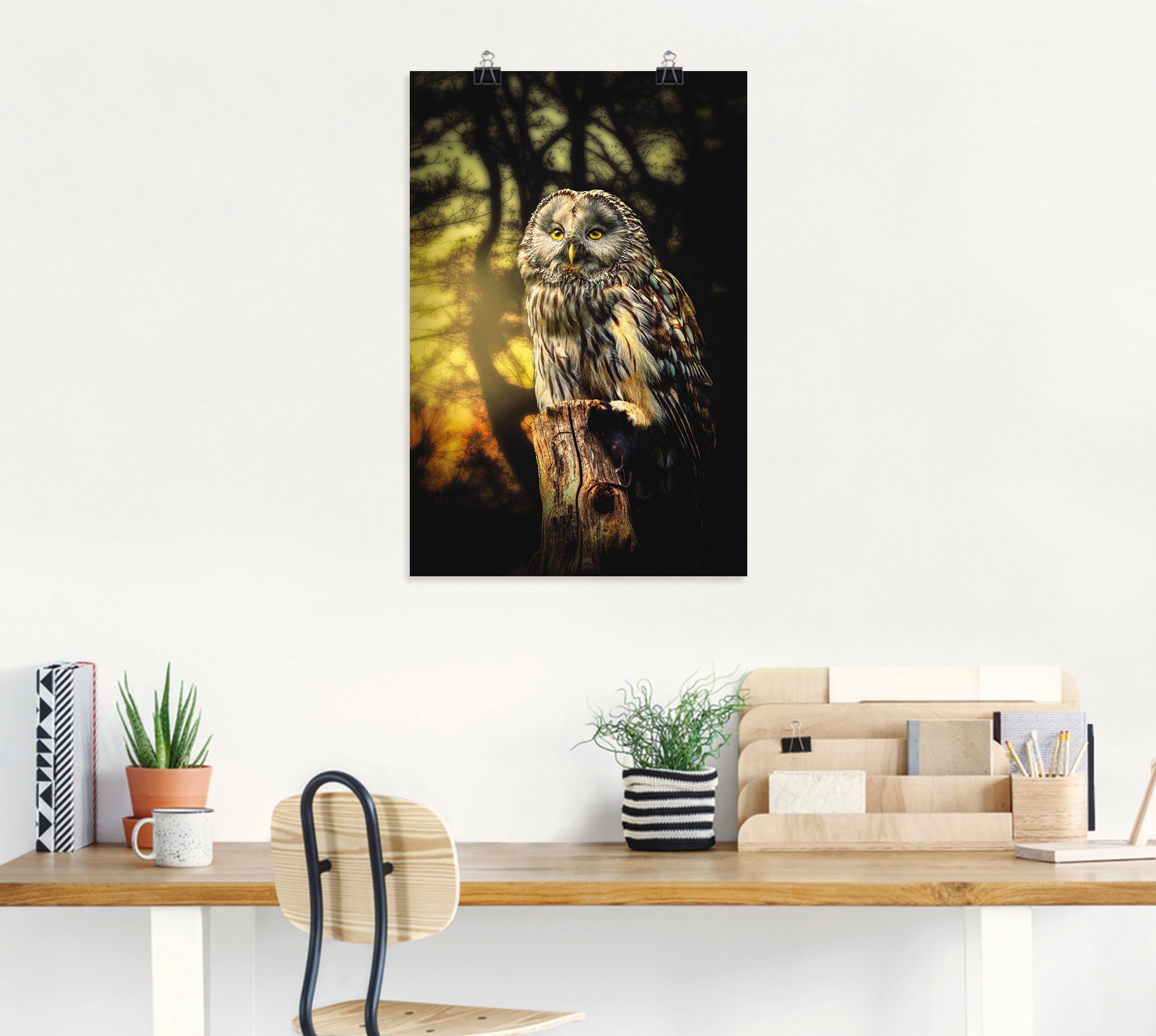 Artland Wandbild "Eule", Vögel, (1 St.), als Alubild, Outdoorbild, Leinwand günstig online kaufen