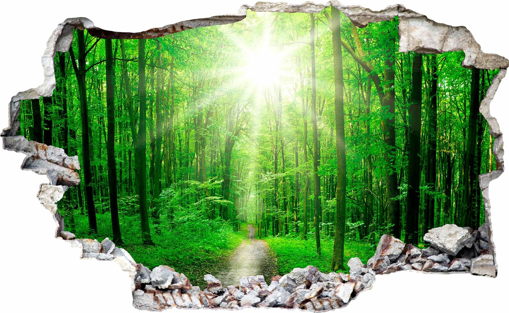 Wandtattoo »Sunny Forest grüne Natur«, selbstklebend, entfernbar