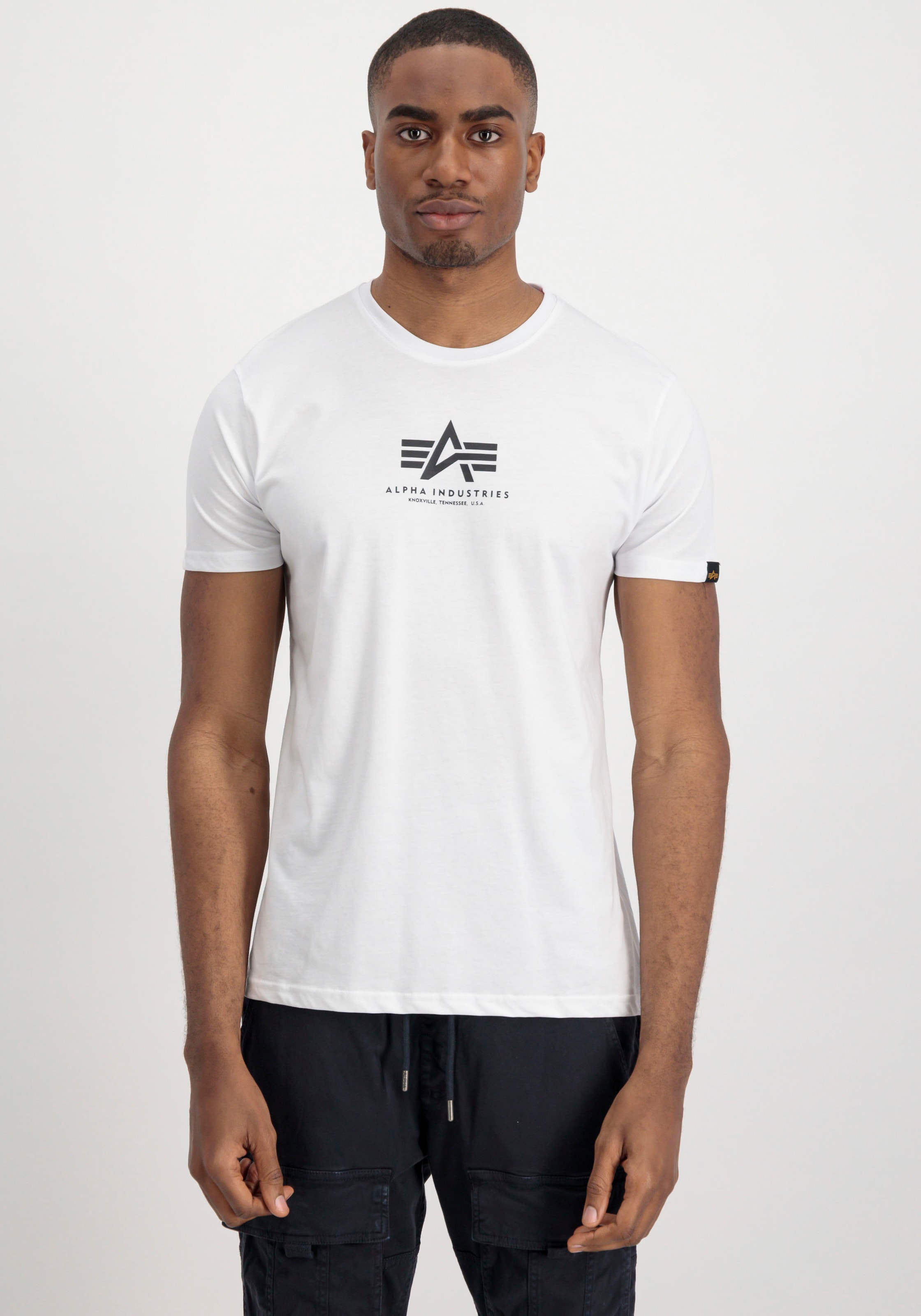Alpha Industries Rundhalsshirt »Basic T ML«