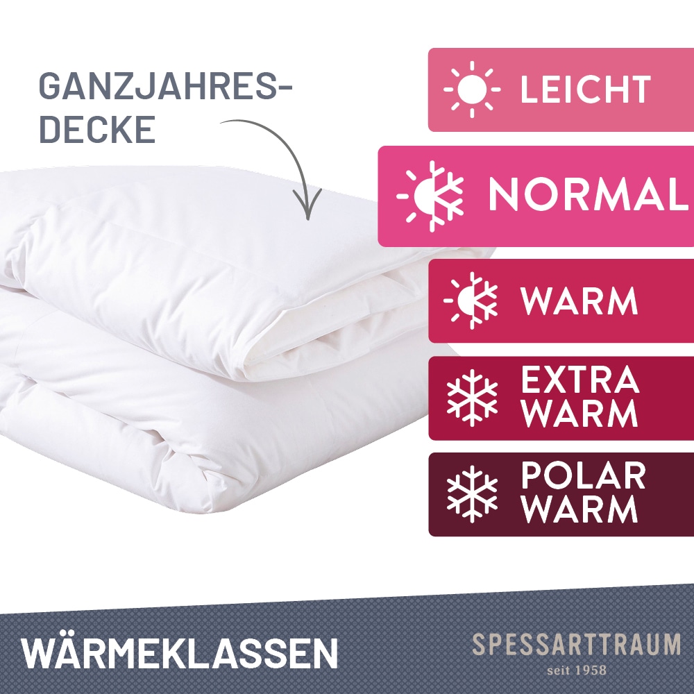 SPESSARTTRAUM Daunenbettdecke + 3-Kammer-Kopfkissen »Exklusiv, 2-tlg, hergestellt in Deutschland, made in Germany, Set«, (Spar-Set, Decke mit Kissen), Sparset: 5 Wärmeklassen, 135x200 cm & 155x220 cm