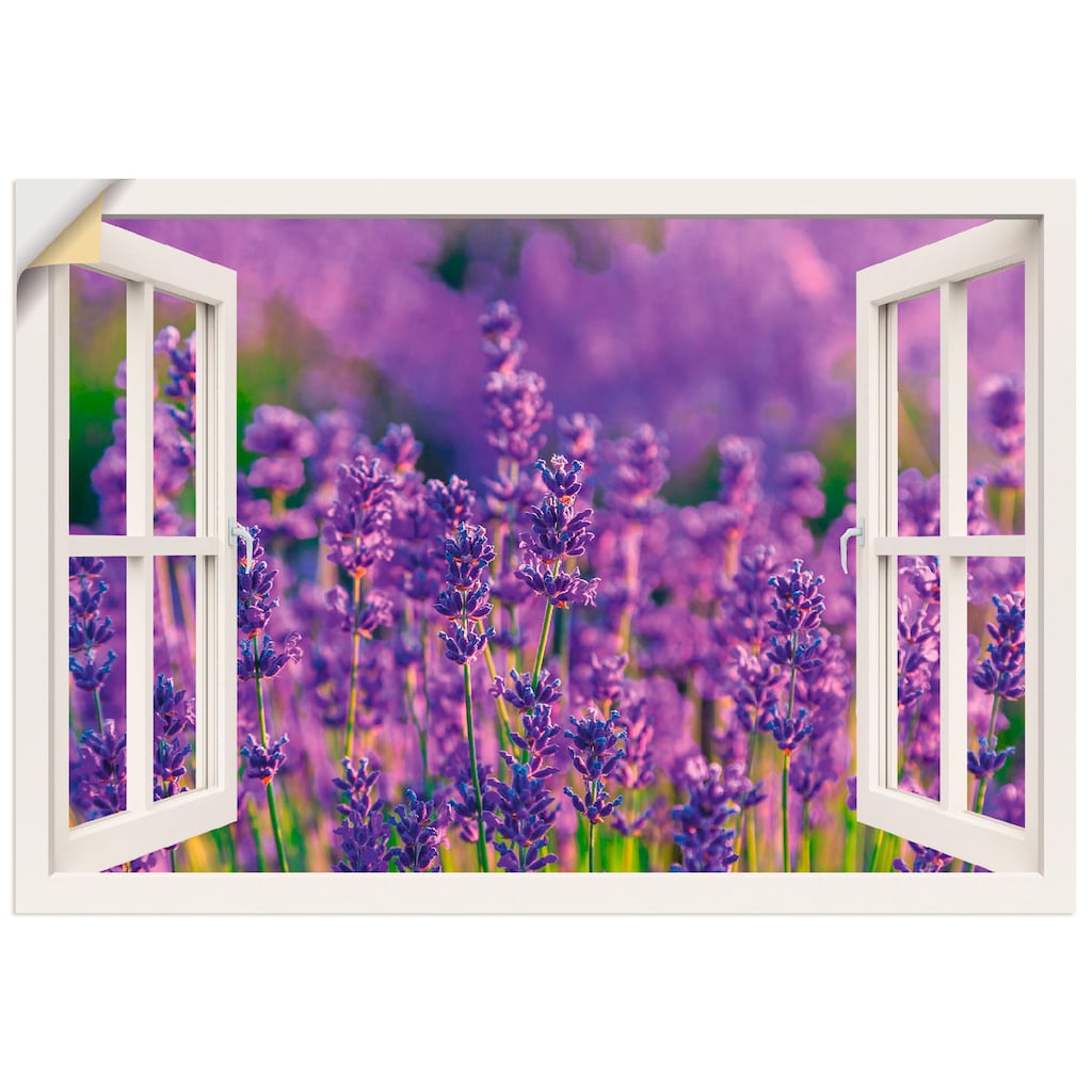 Artland Wandbild »Fensterblick Lavendelfeld in Tihany«, Blumenwiese, (1 St.)