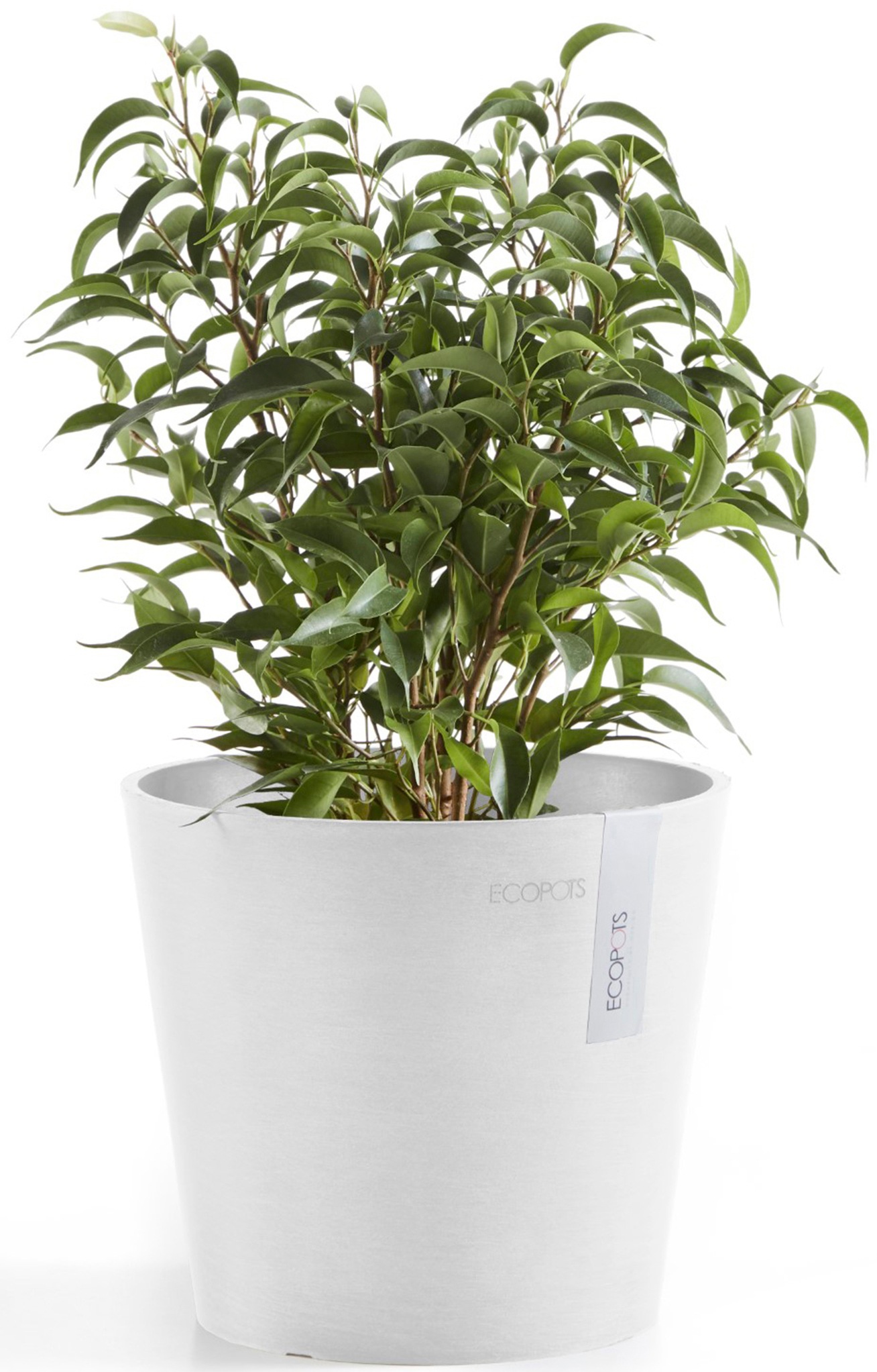 ECOPOTS Blumentopf »Amsterdam Mini 17 Weiß«, für den Innenbereich