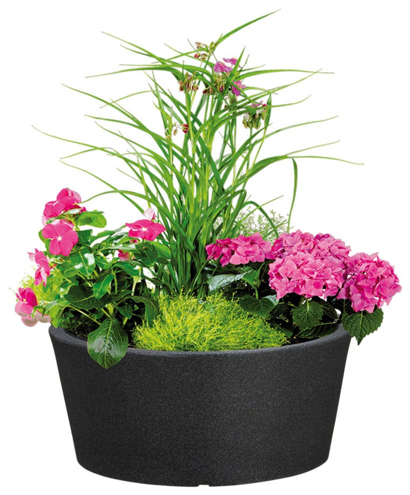 Scheurich Blumentopf »40/239 C-CONE BOWL«
