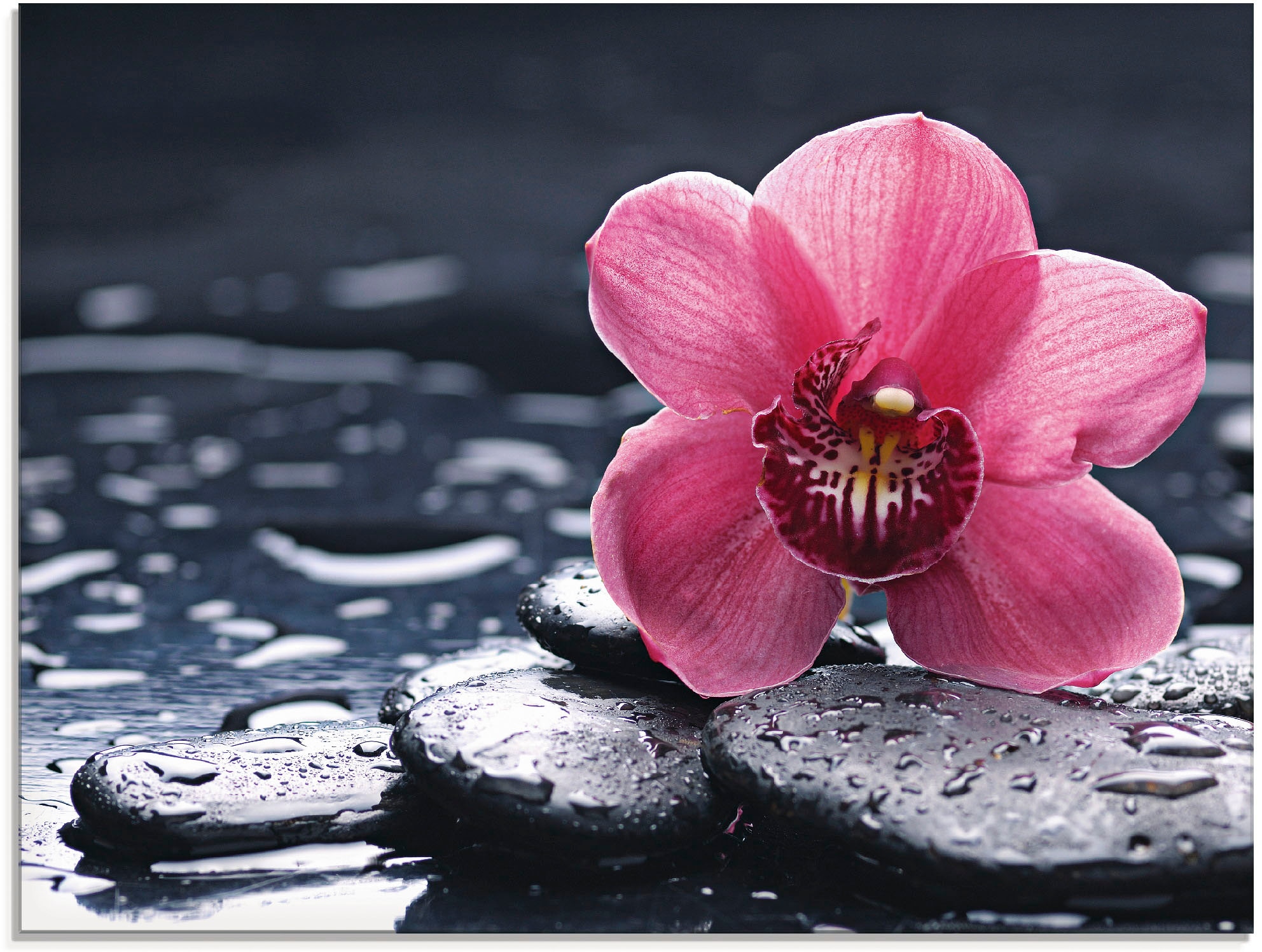 Artland Glasbild "Stillleben mit Kiesel und einer Orchidee" Blumen 1 Stk. t günstig online kaufen