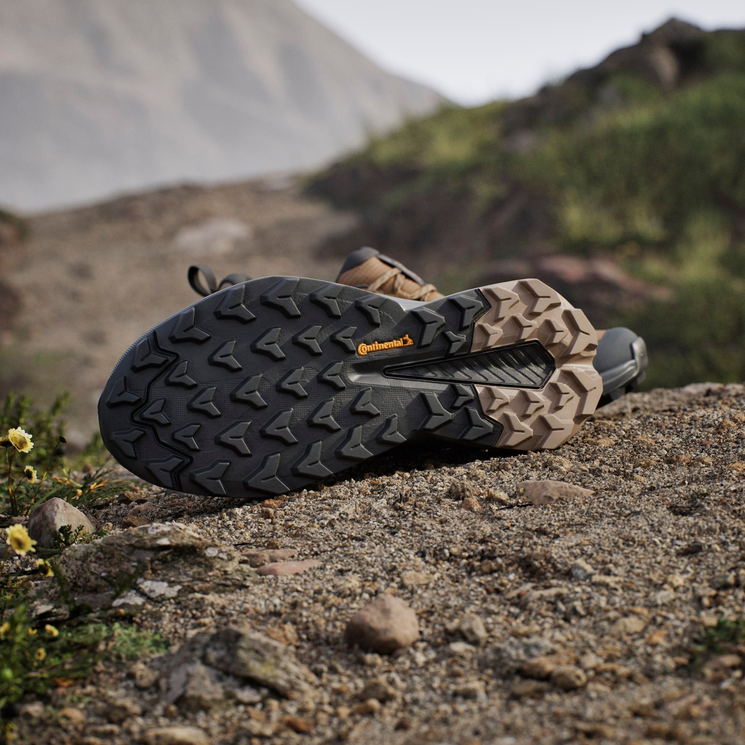 adidas TERREX Wanderschuh »TRAILMAKER 2 GORE-TEX«, wasserdicht
