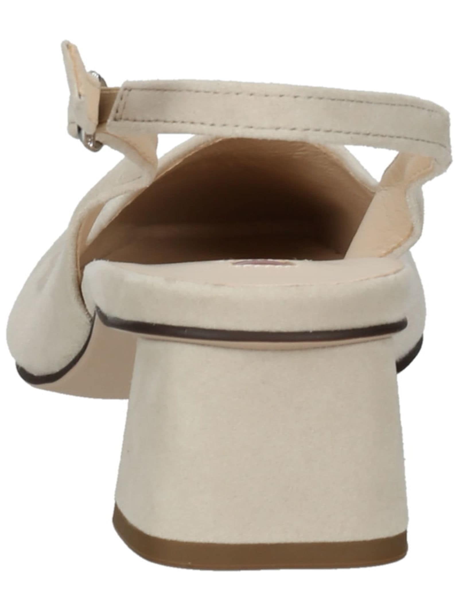 Högl Pumps »Högl Pumps Veloursleder«