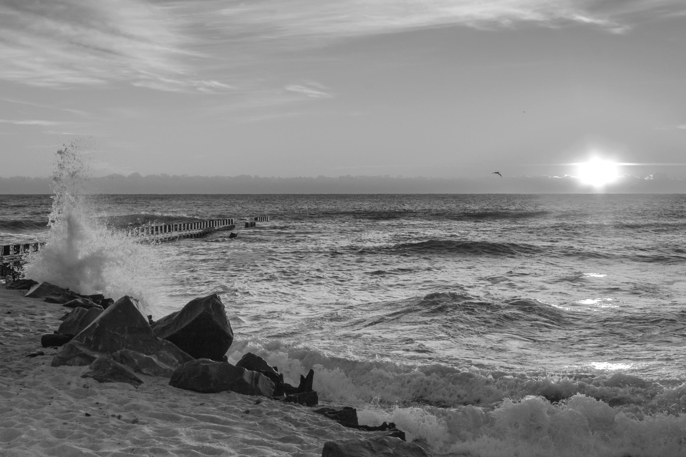 Papermoon Fototapete "Strand Schwarz & Weiß"