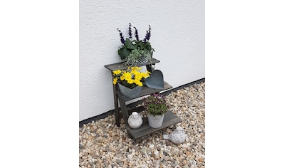 Pflanzentreppe »Blumentreppe klein, grau«, BxTxH: 50x60x56 cm