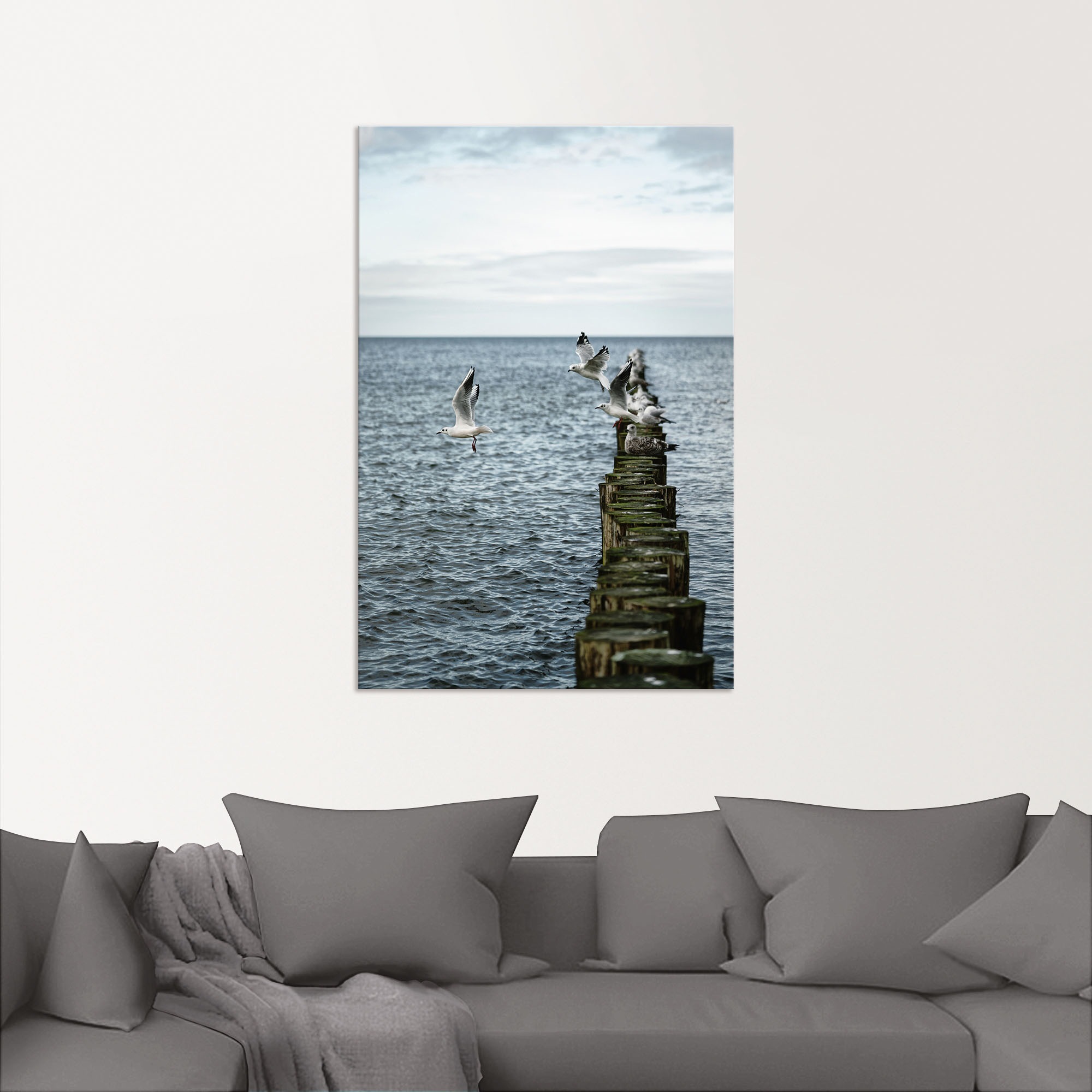 Artland Alu-Dibond-Druck "Möwen starten von einer Buhnenreihe" Vogelbilder günstig online kaufen