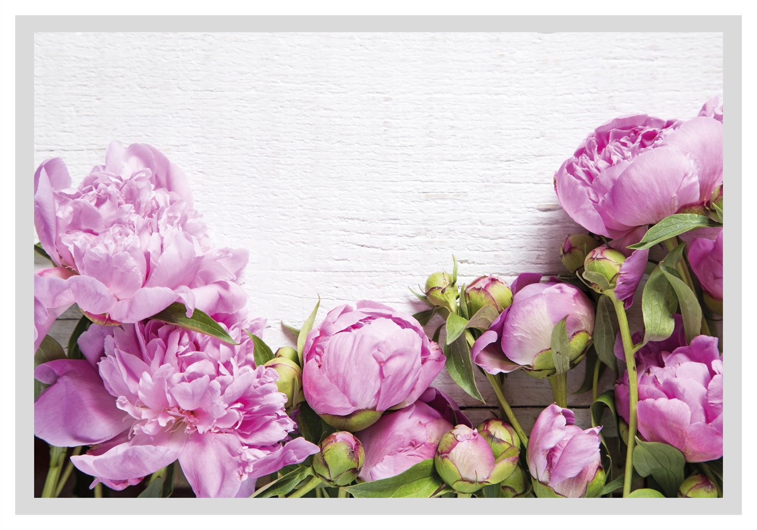 queence Bild »Karen«, Blumen, Rosen, gerahmt