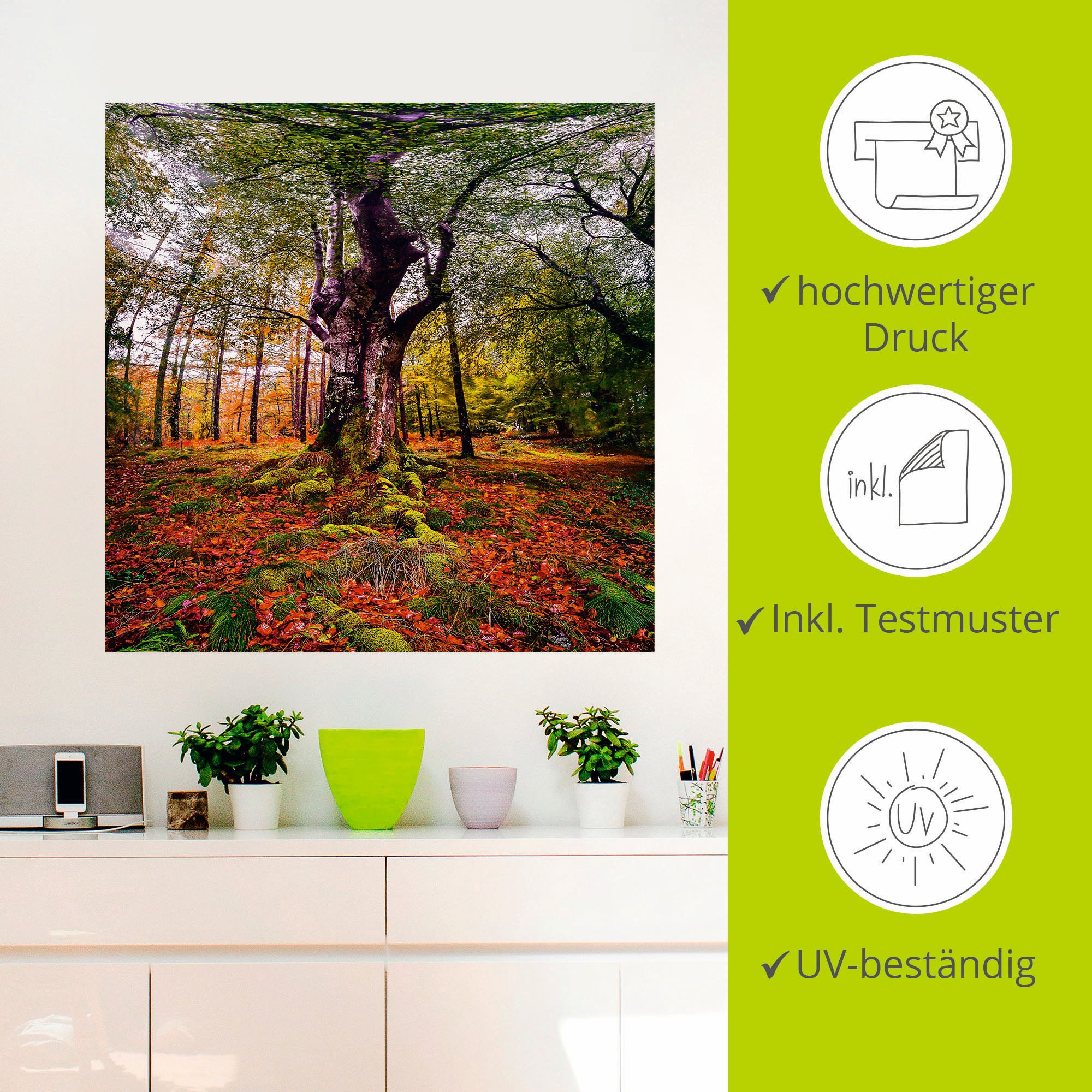 Poster Artland BAUR | Leinwandbild, in oder im Wandaufkleber St.), Wandbild »Baum Wald«, Alubild, (1 bestellen Größen Baumbilder, versch. als